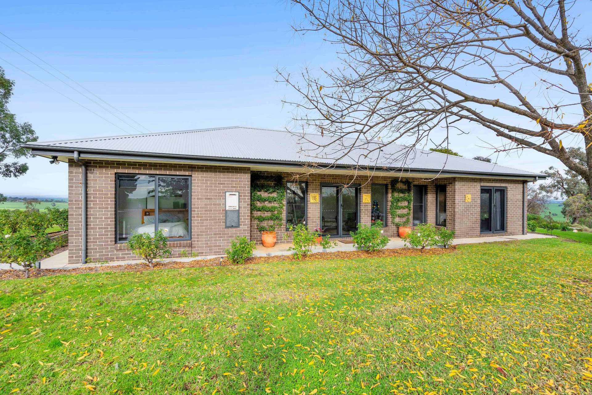 448 Shepherds Siding Road, Wagga Wagga For Sale by Farmbuy.com - image 22