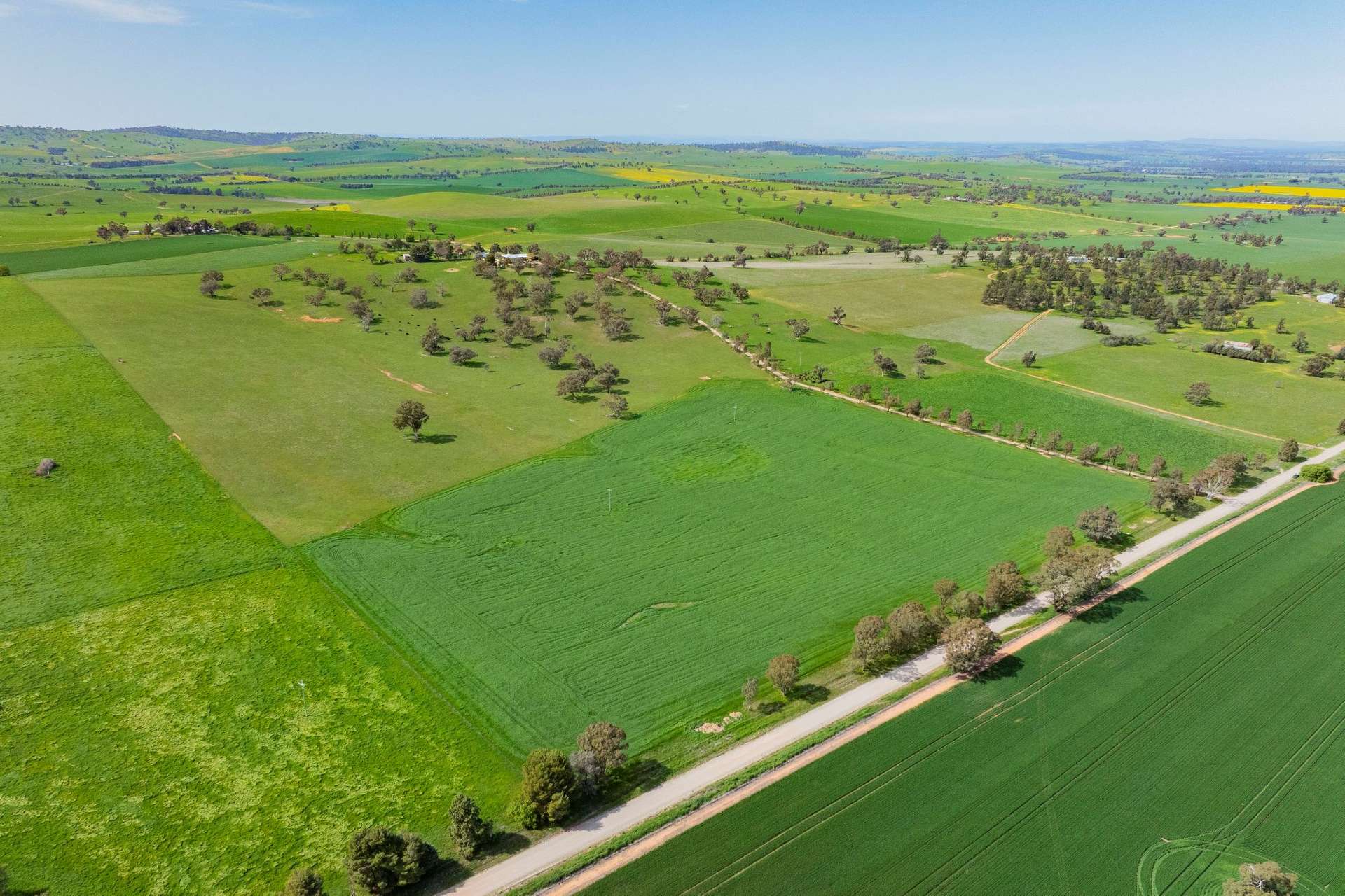 448 Shepherds Siding Road, Wagga Wagga For Sale by Farmbuy.com - image 28