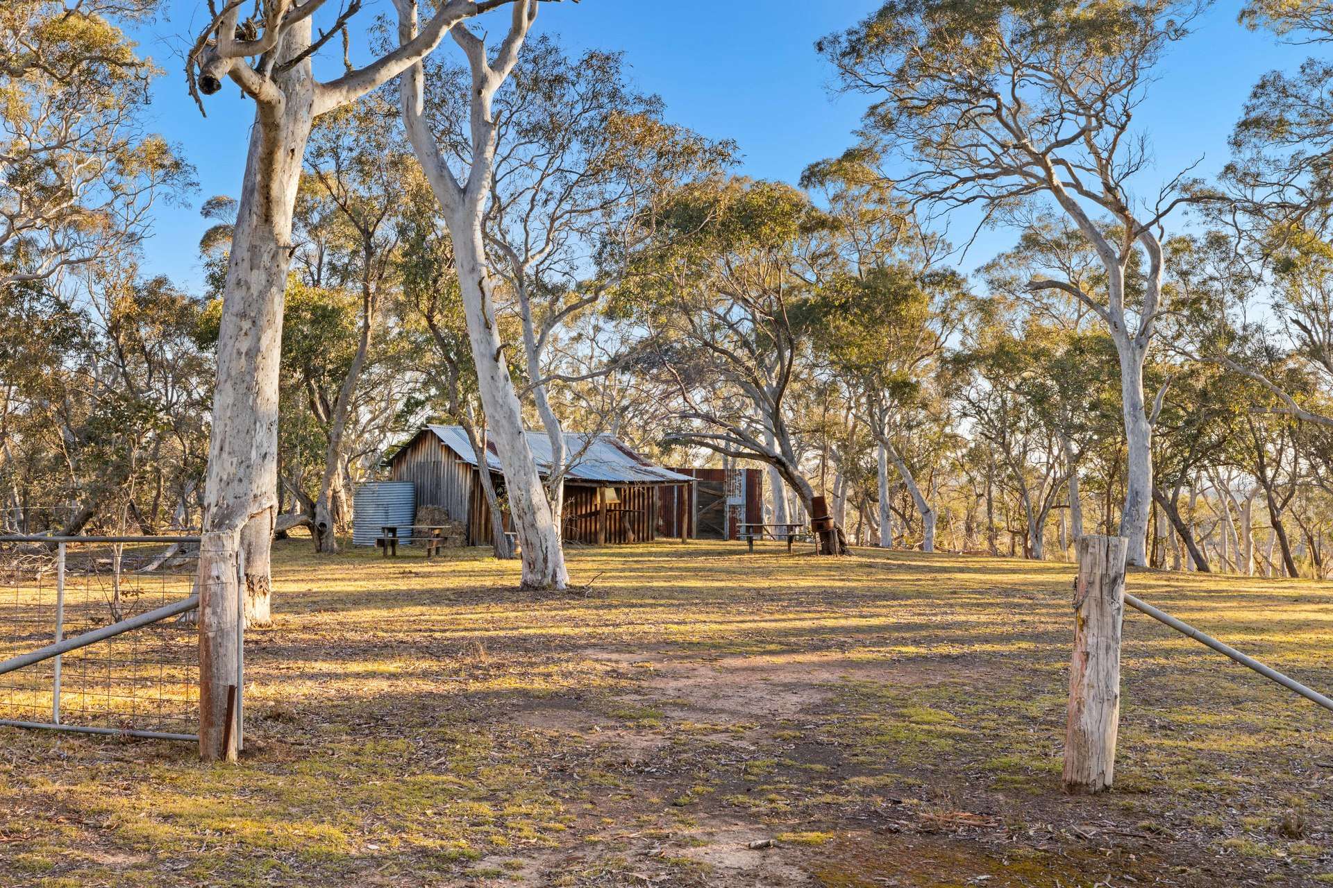 244 Tomboye Road, Tomboye For Sale by Farmbuy.com - image 24
