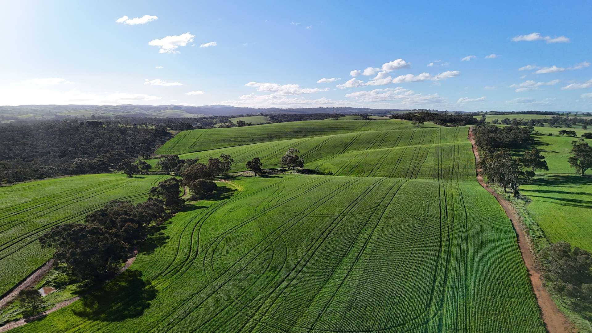 'Flavels' Wilkins Highway, Huddleston For Sale by Farmbuy.com - image 9