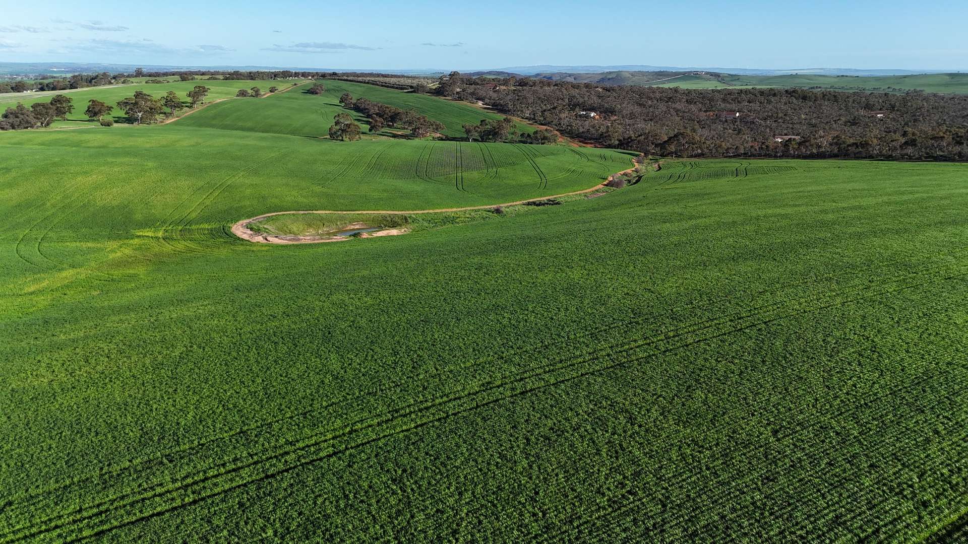 'Flavels' Wilkins Highway, Huddleston For Sale by Farmbuy.com - image 11