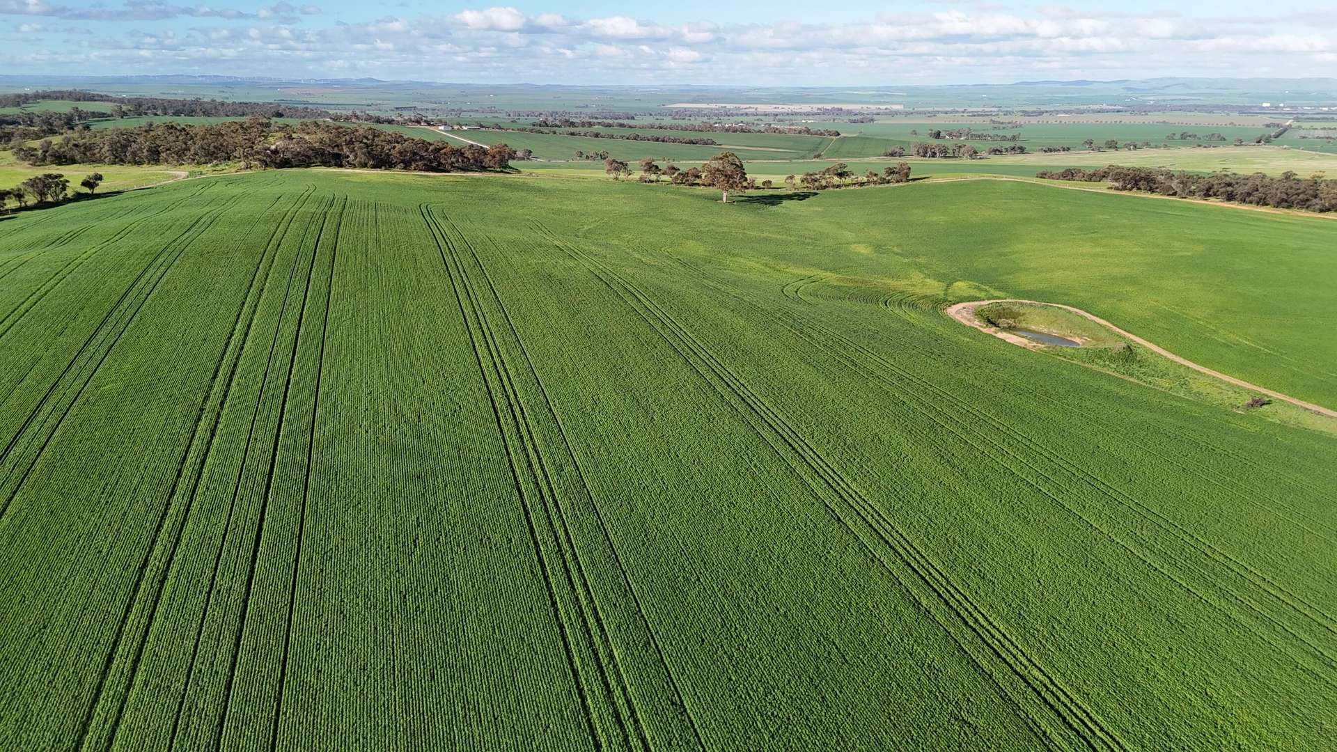 'Flavels' Wilkins Highway, Huddleston For Sale by Farmbuy.com - image 12