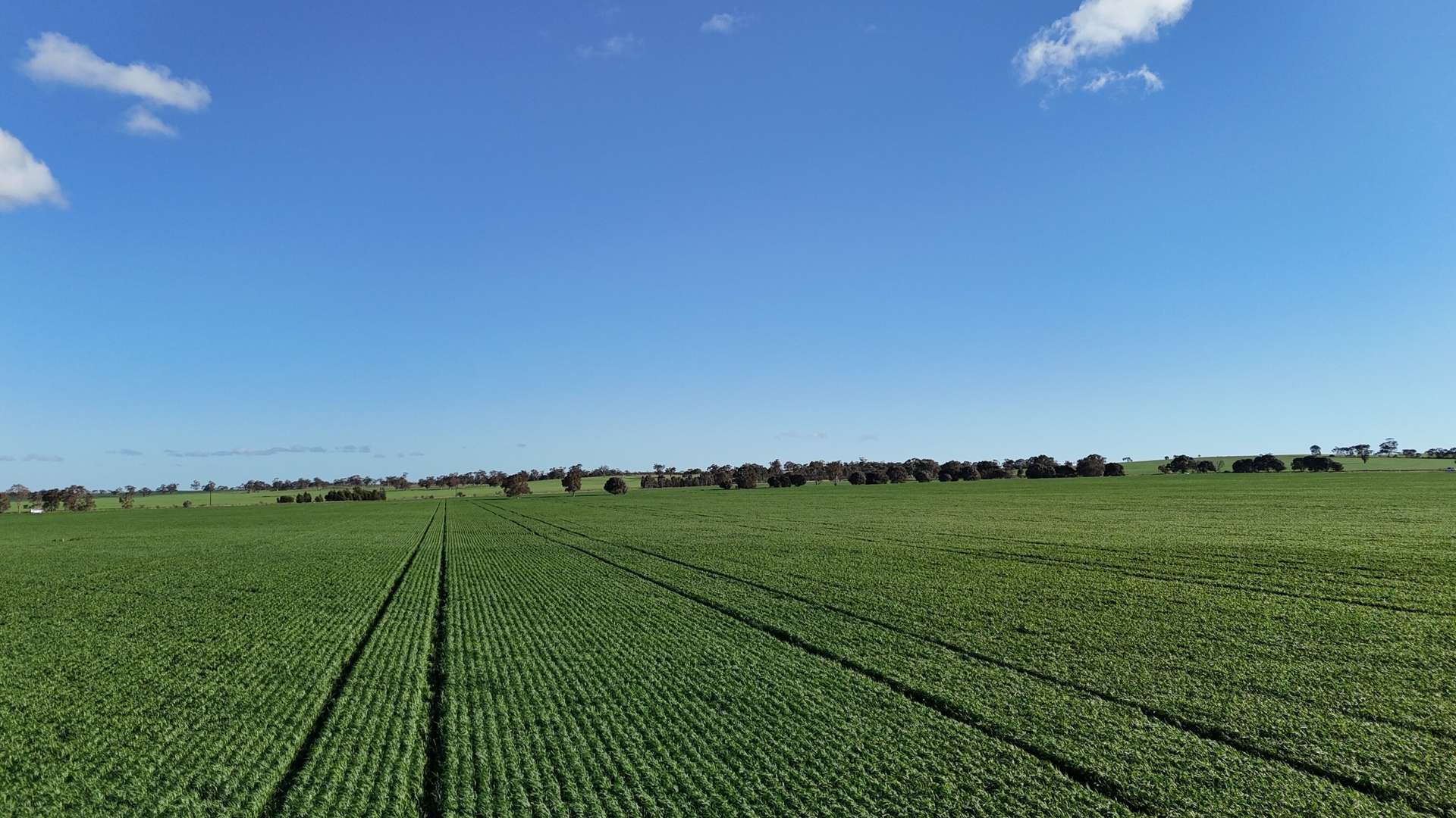'Flavels' Wilkins Highway, Huddleston For Sale by Farmbuy.com - image 2