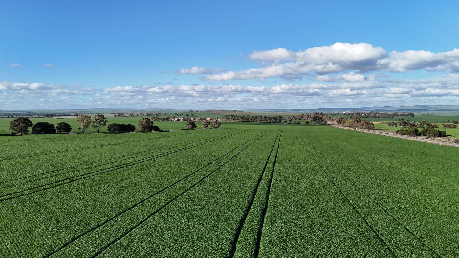 'Flavels' Wilkins Highway, Huddleston For Sale by Farmbuy.com - image 3
