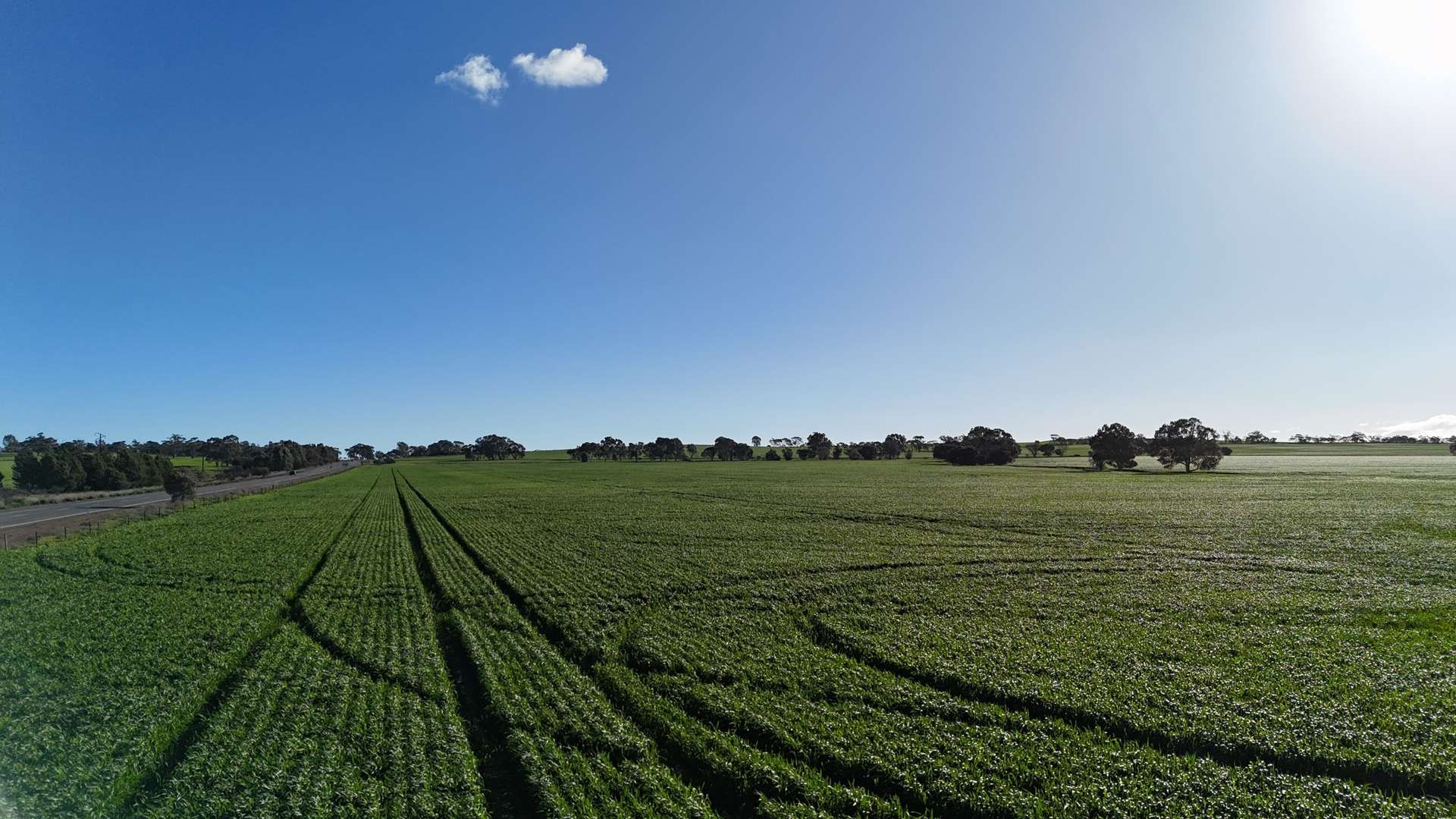 'Flavels' Wilkins Highway, Huddleston For Sale by Farmbuy.com - image 6