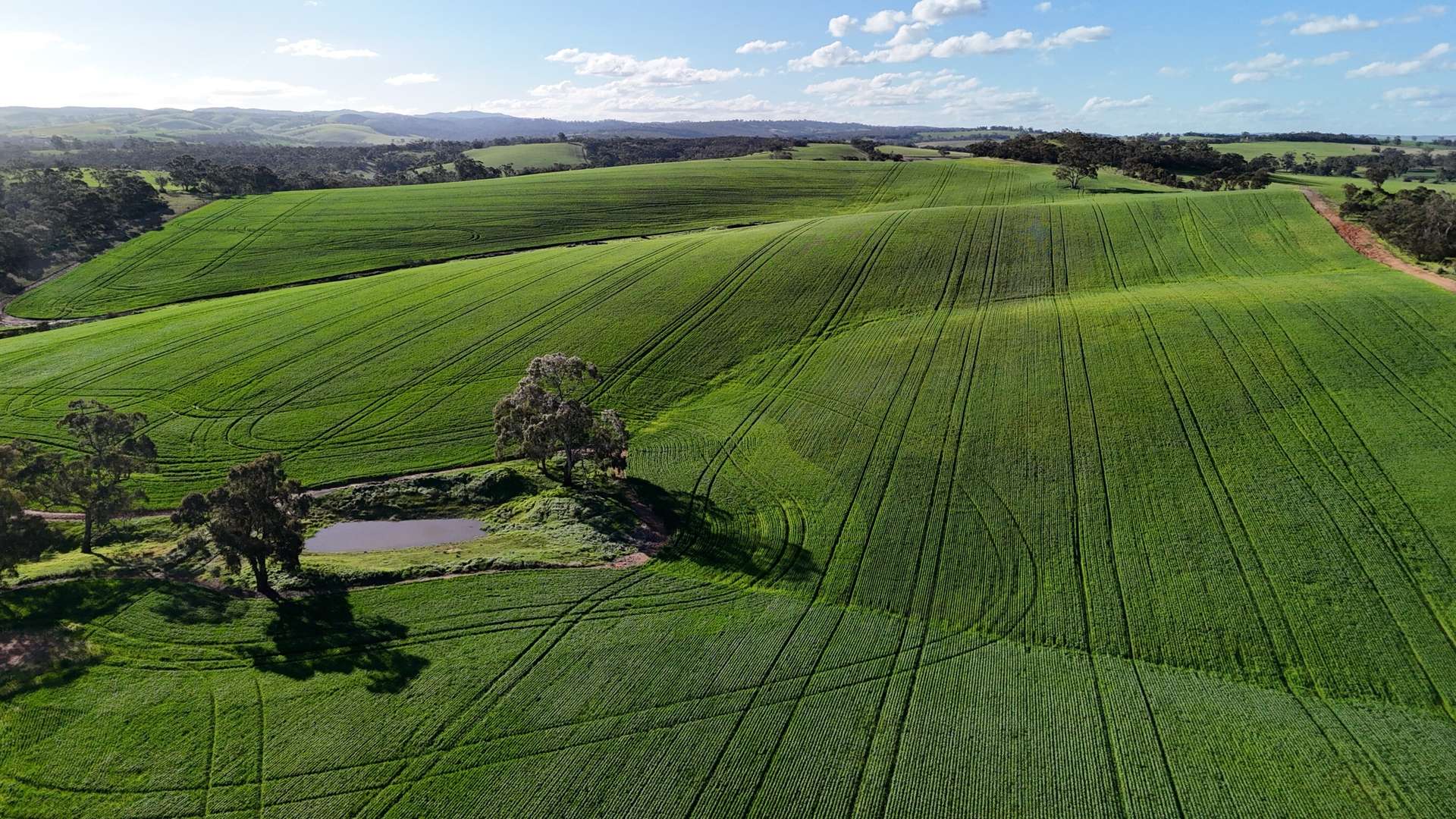 'Flavels' Wilkins Highway, Huddleston For Sale by Farmbuy.com - image 10