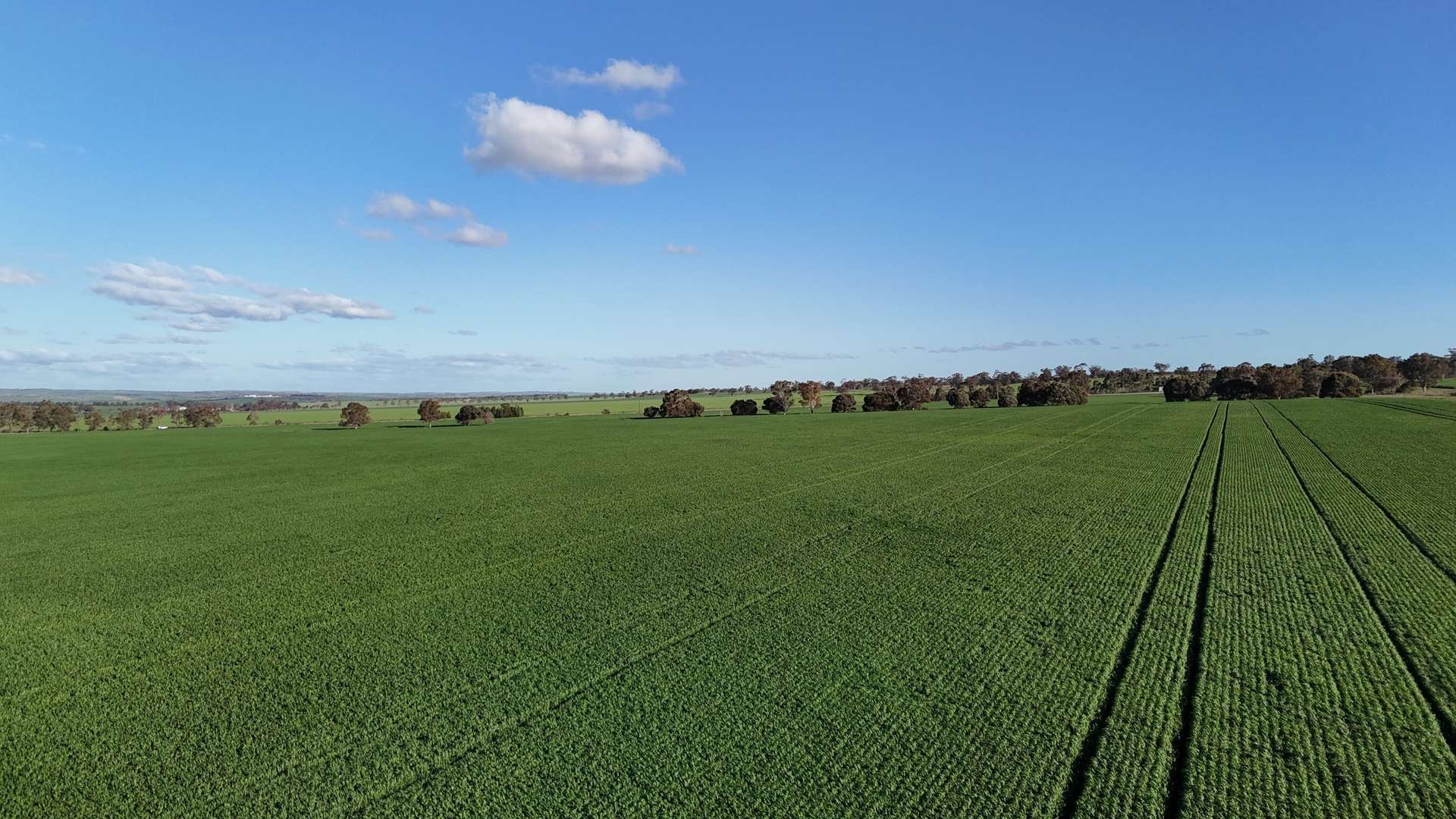 'Flavels' Wilkins Highway, Huddleston For Sale by Farmbuy.com - image 1