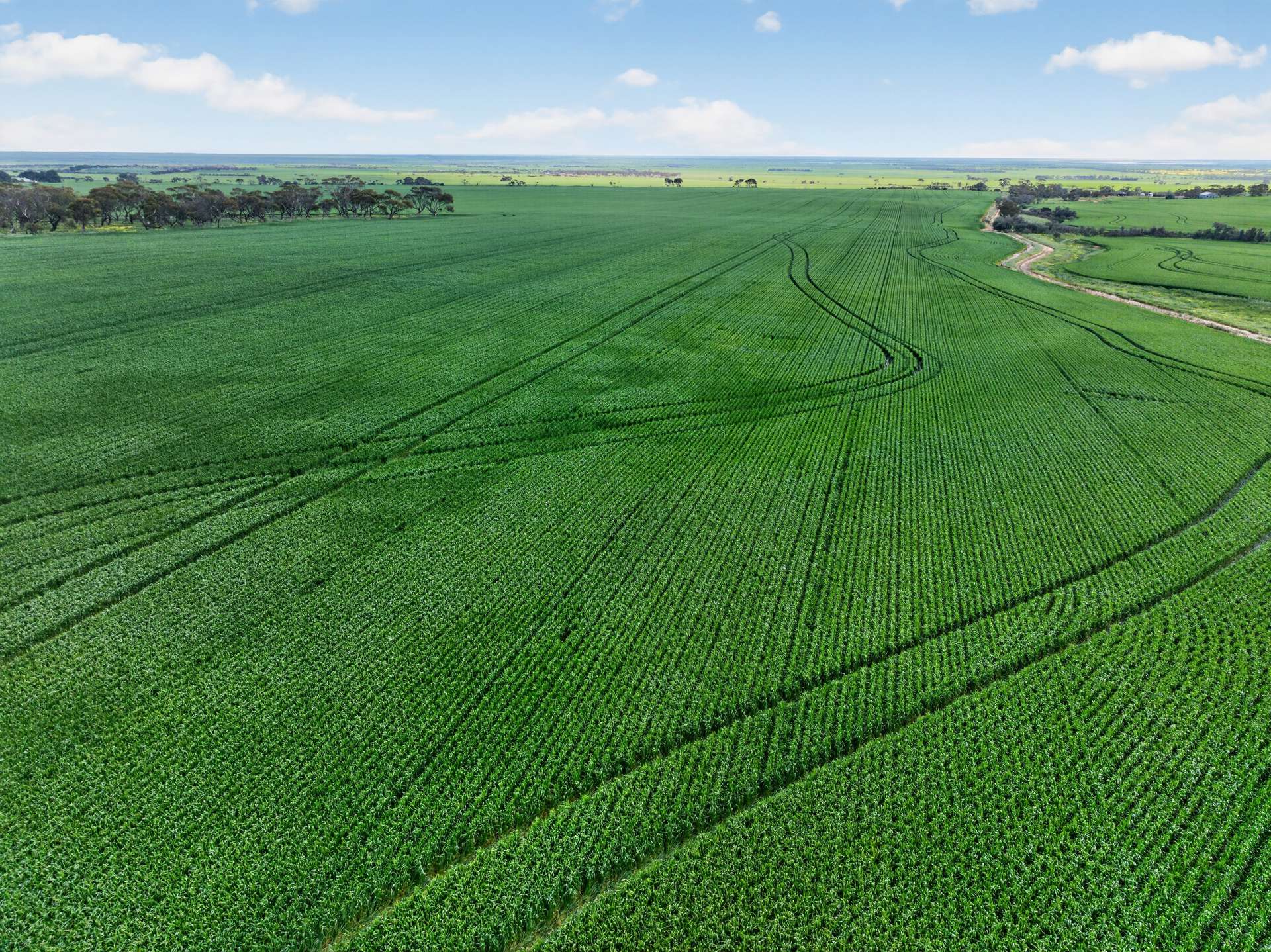 'Southams' Ireland Road, Mundoora For Sale by Farmbuy.com - image 6