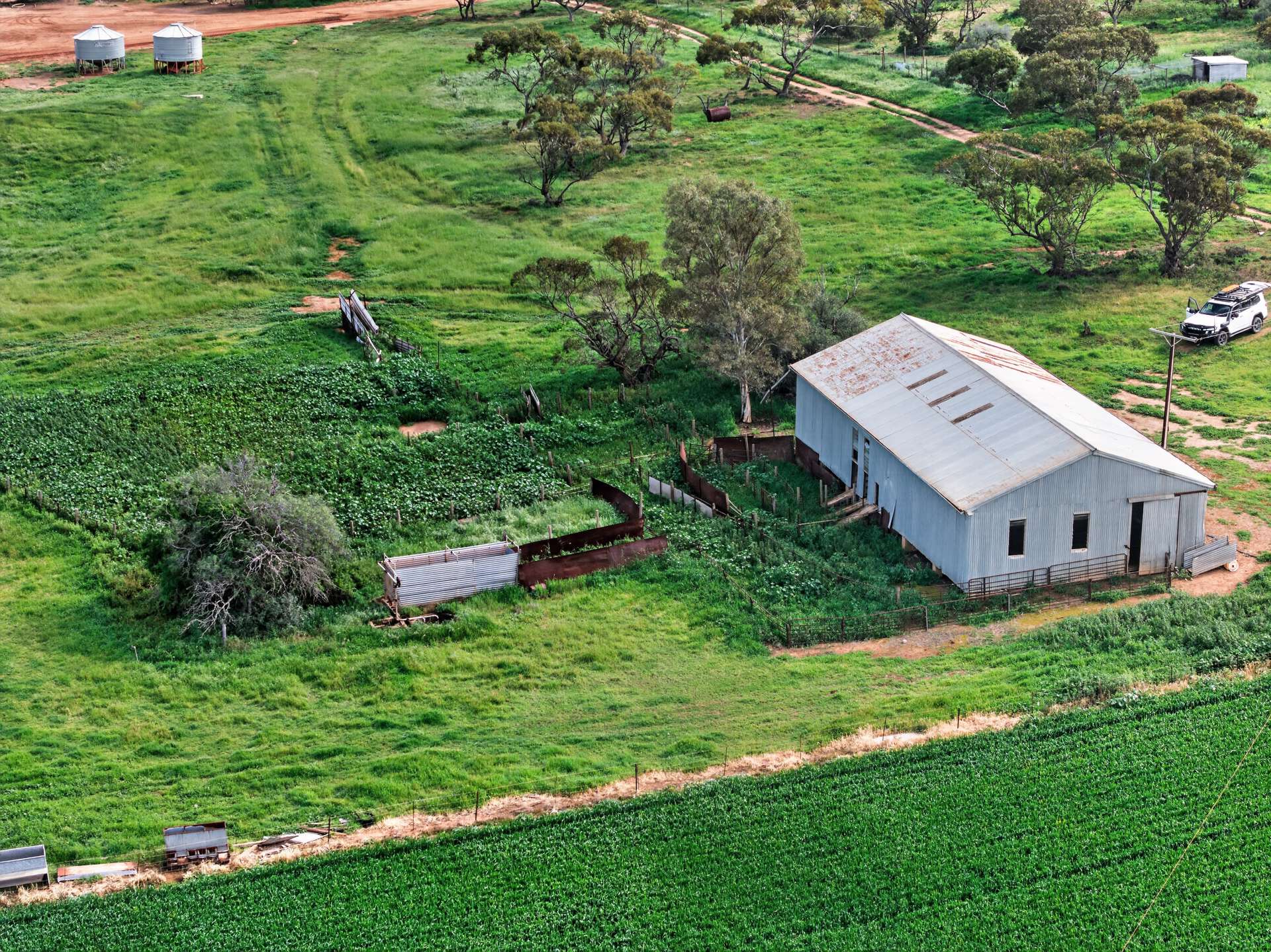 'Southams' Ireland Road, Mundoora For Sale by Farmbuy.com - image 10