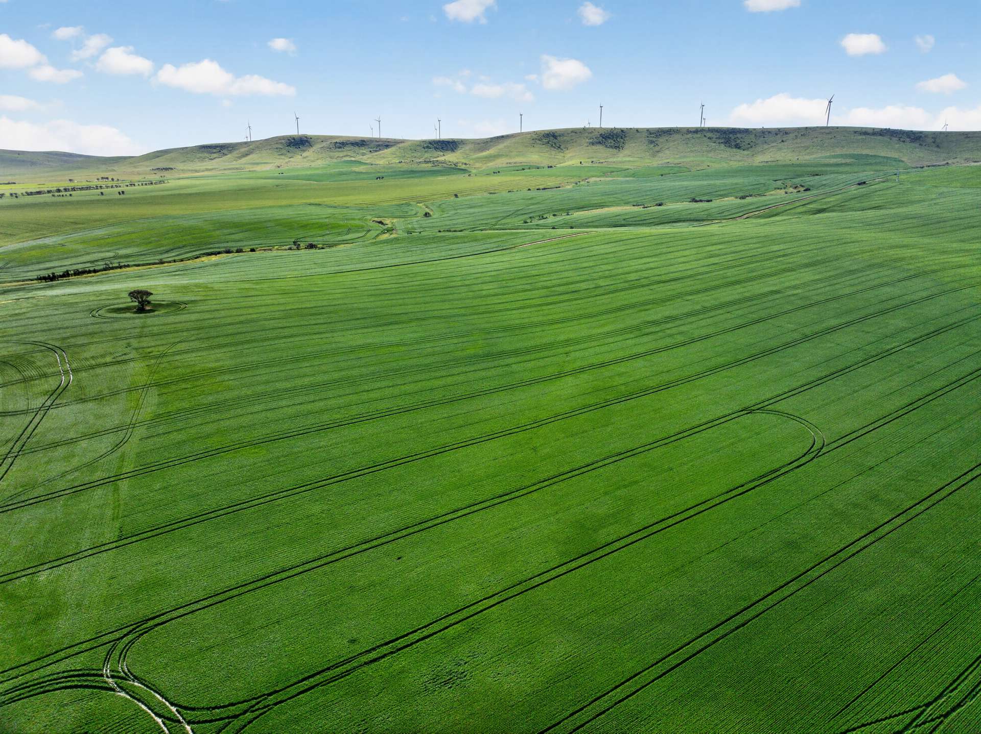 'Southams' Ireland Road, Mundoora For Sale by Farmbuy.com - image 2