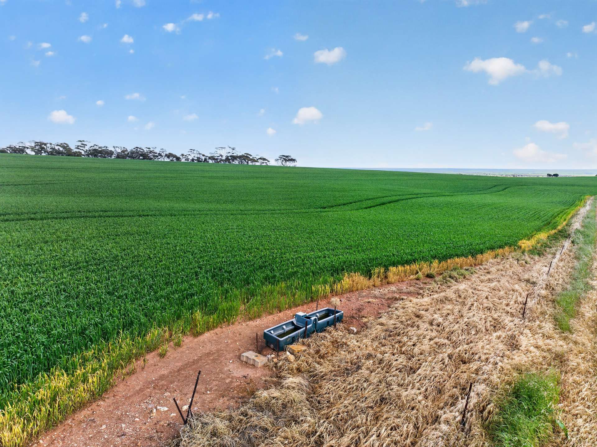 'Southams' Ireland Road, Mundoora For Sale by Farmbuy.com - image 9