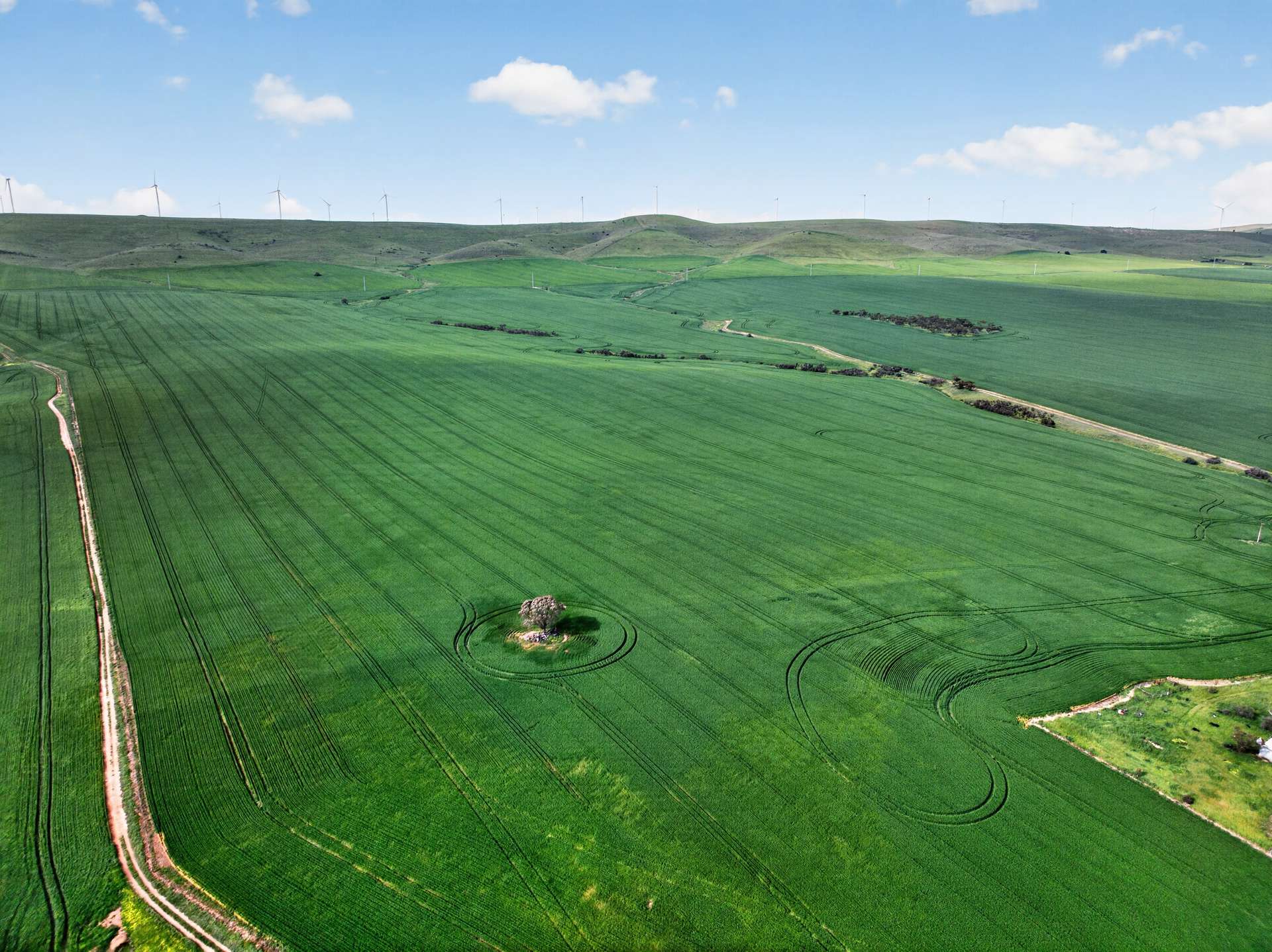 'Southams' Ireland Road, Mundoora For Sale by Farmbuy.com - image 5