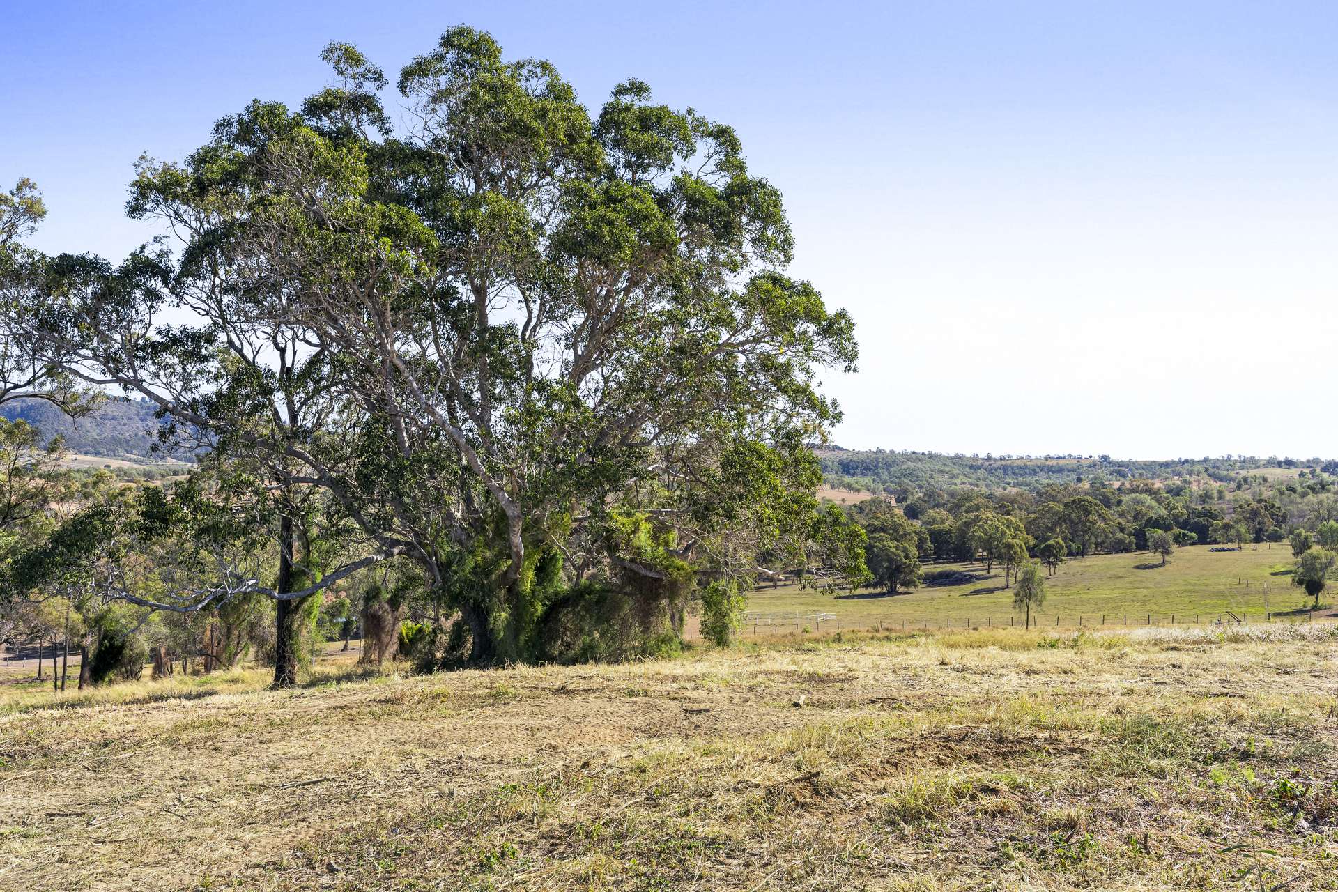 3 Schadwell Road, Blenheim For Sale by Farmbuy.com - image 30