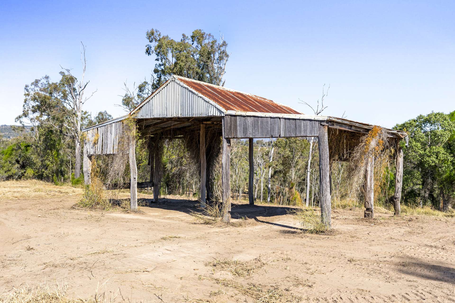 3 Schadwell Road, Blenheim For Sale by Farmbuy.com - image 18