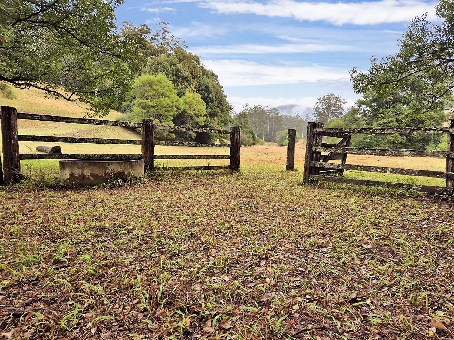 1690 Bowraville Road, Bellingen For Sale by Farmbuy.com - image 25