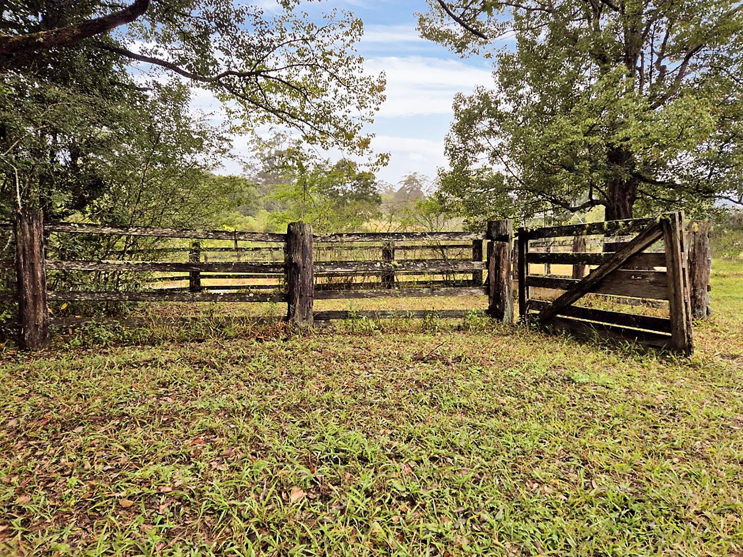 1690 Bowraville Road, Bellingen For Sale by Farmbuy.com - image 22
