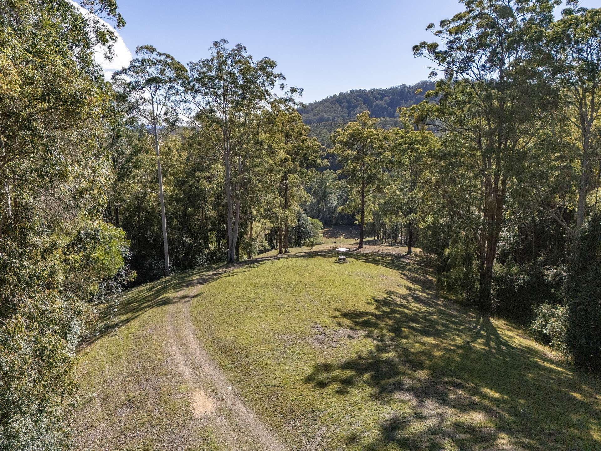 1690 Bowraville Road, Bellingen For Sale by Farmbuy.com - image 10
