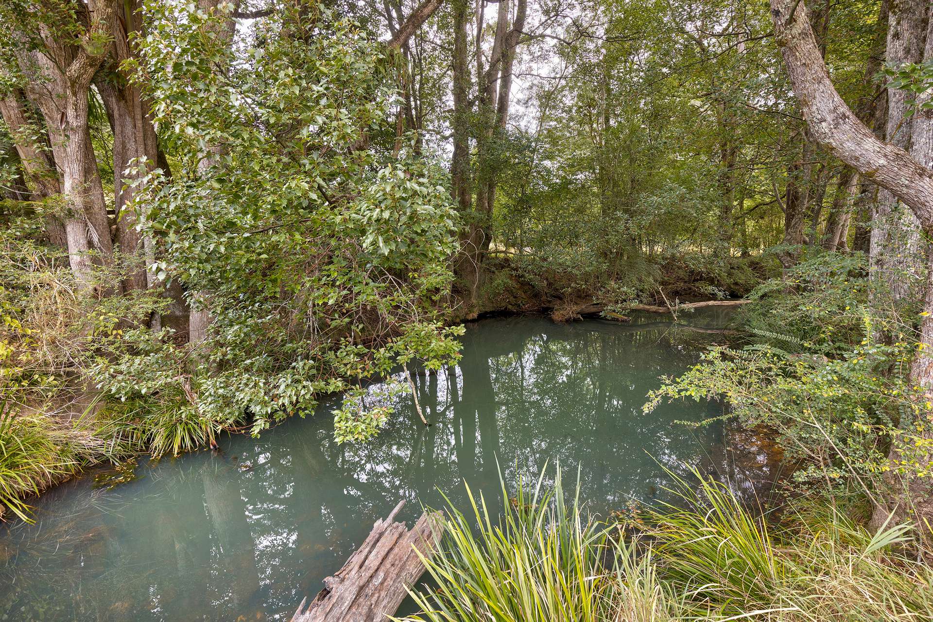 1690 Bowraville Road, Bellingen For Sale by Farmbuy.com - image 3