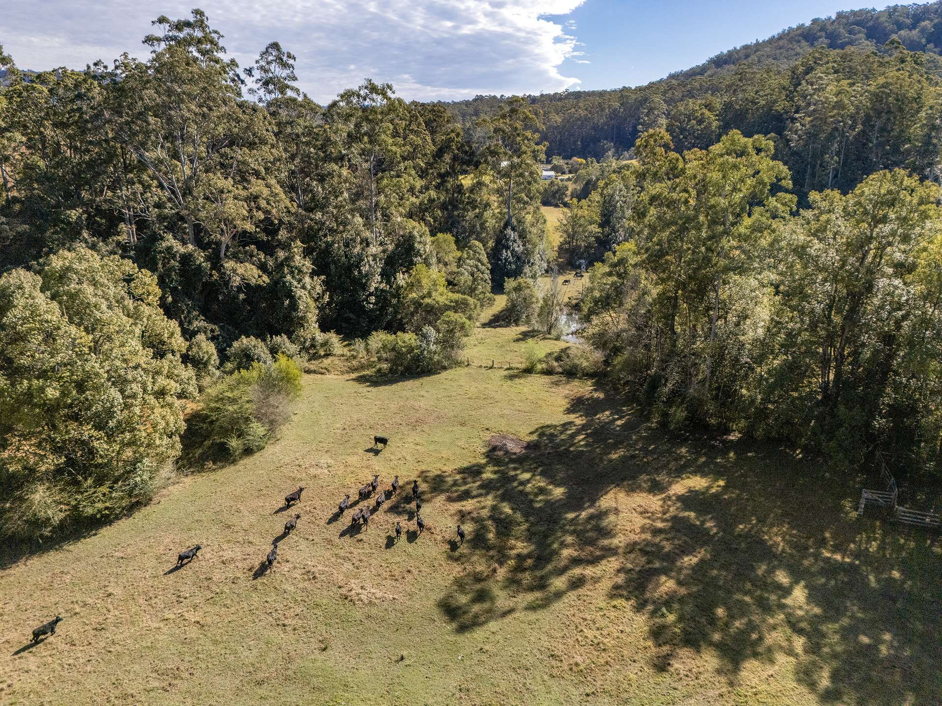 1690 Bowraville Road, Bellingen For Sale by Farmbuy.com - image 21