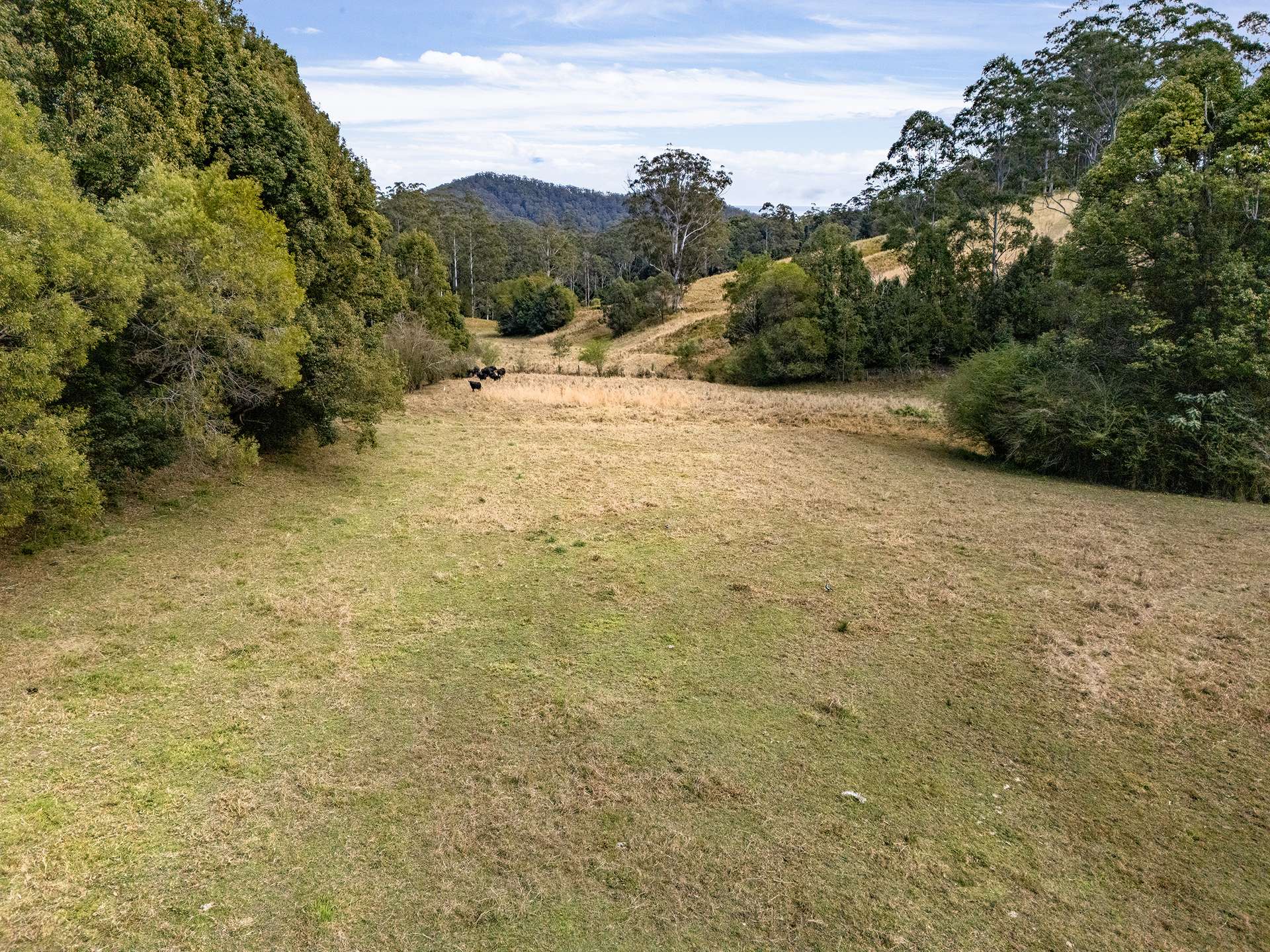 1690 Bowraville Road, Bellingen For Sale by Farmbuy.com - image 27