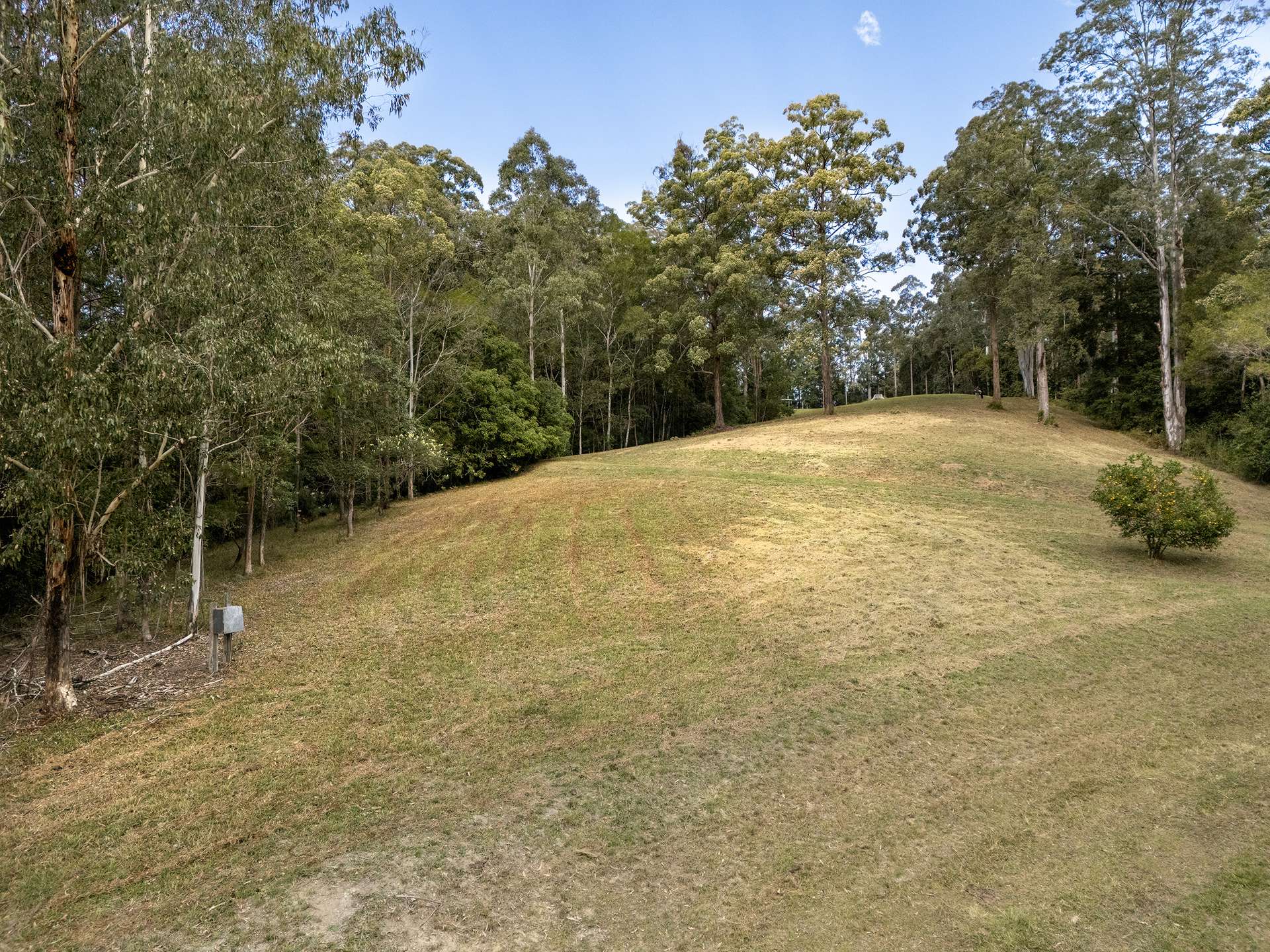 1690 Bowraville Road, Bellingen For Sale by Farmbuy.com - image 19