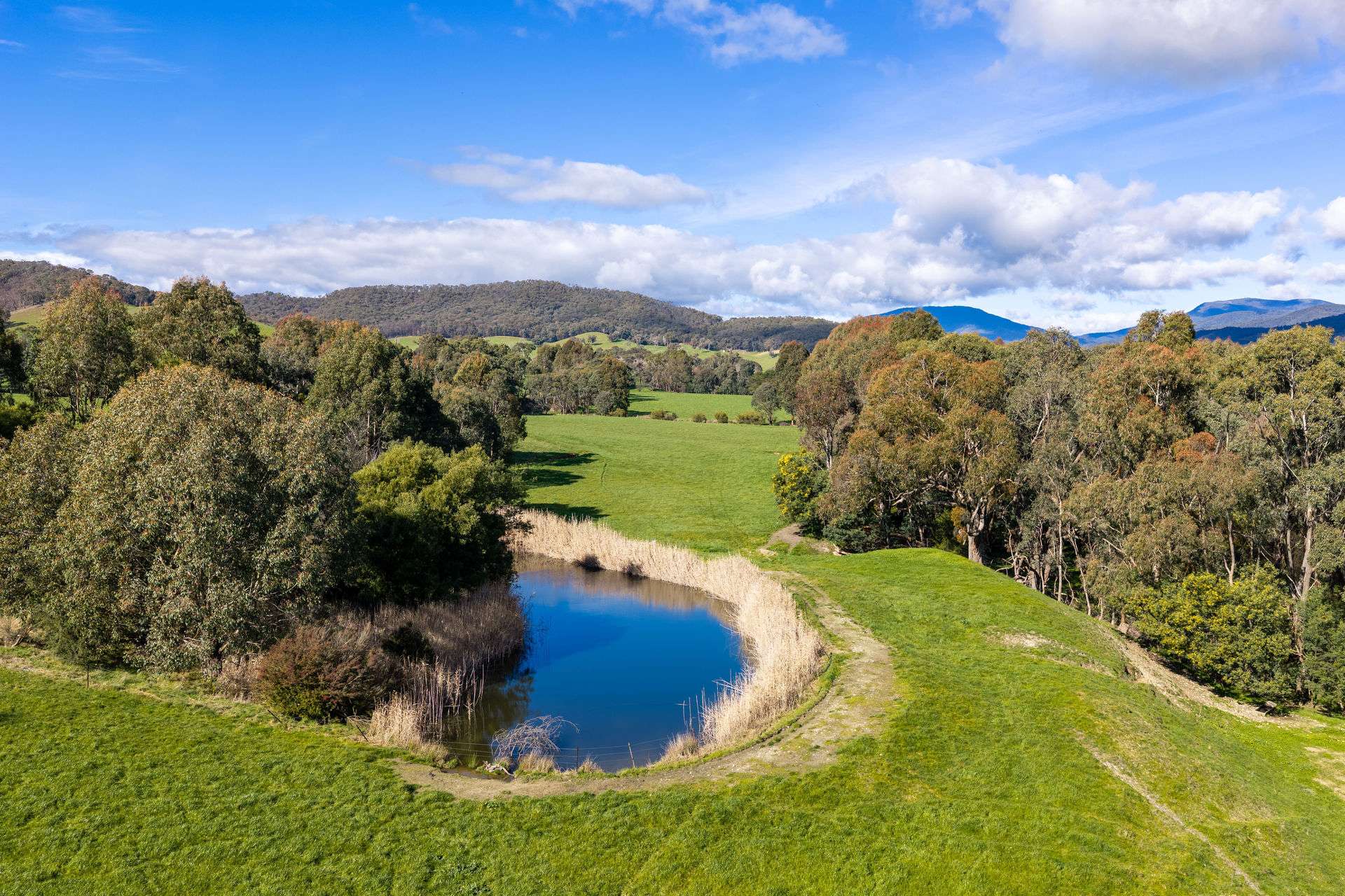 31 Greenham Road, Tallangatta Valley For Sale by Farmbuy.com - image 28