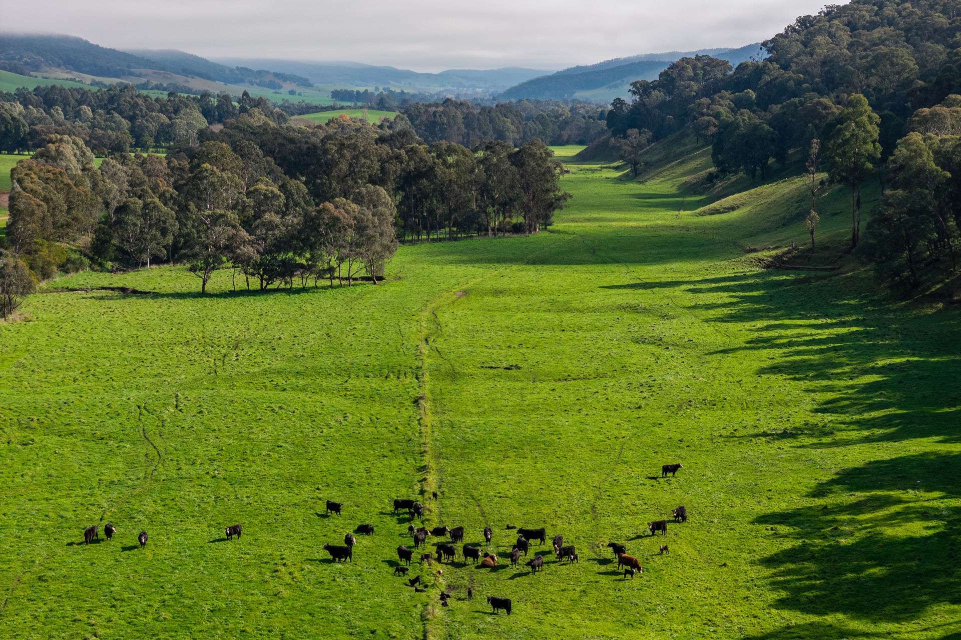 31 Greenham Road, Tallangatta Valley For Sale by Farmbuy.com - image 12