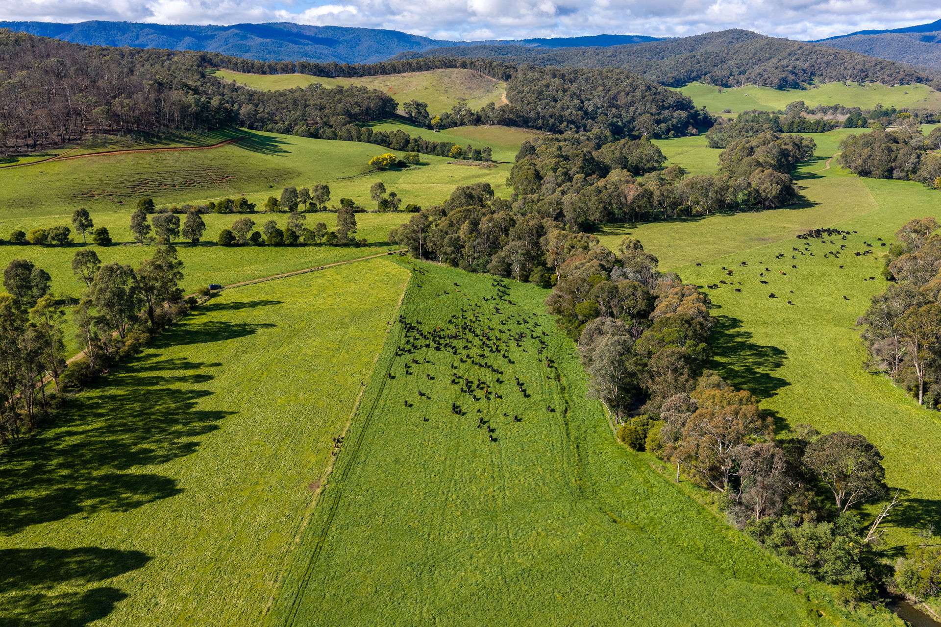 31 Greenham Road, Tallangatta Valley For Sale by Farmbuy.com - image 16