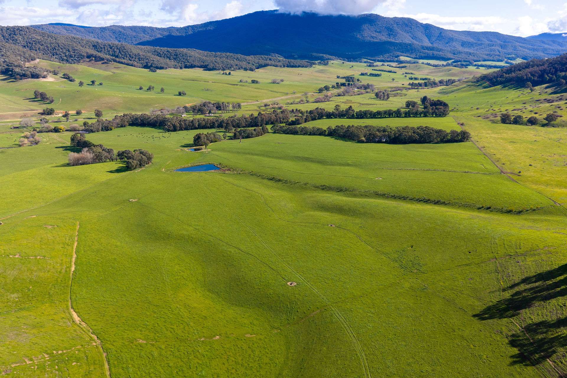 31 Greenham Road, Tallangatta Valley For Sale by Farmbuy.com - image 25