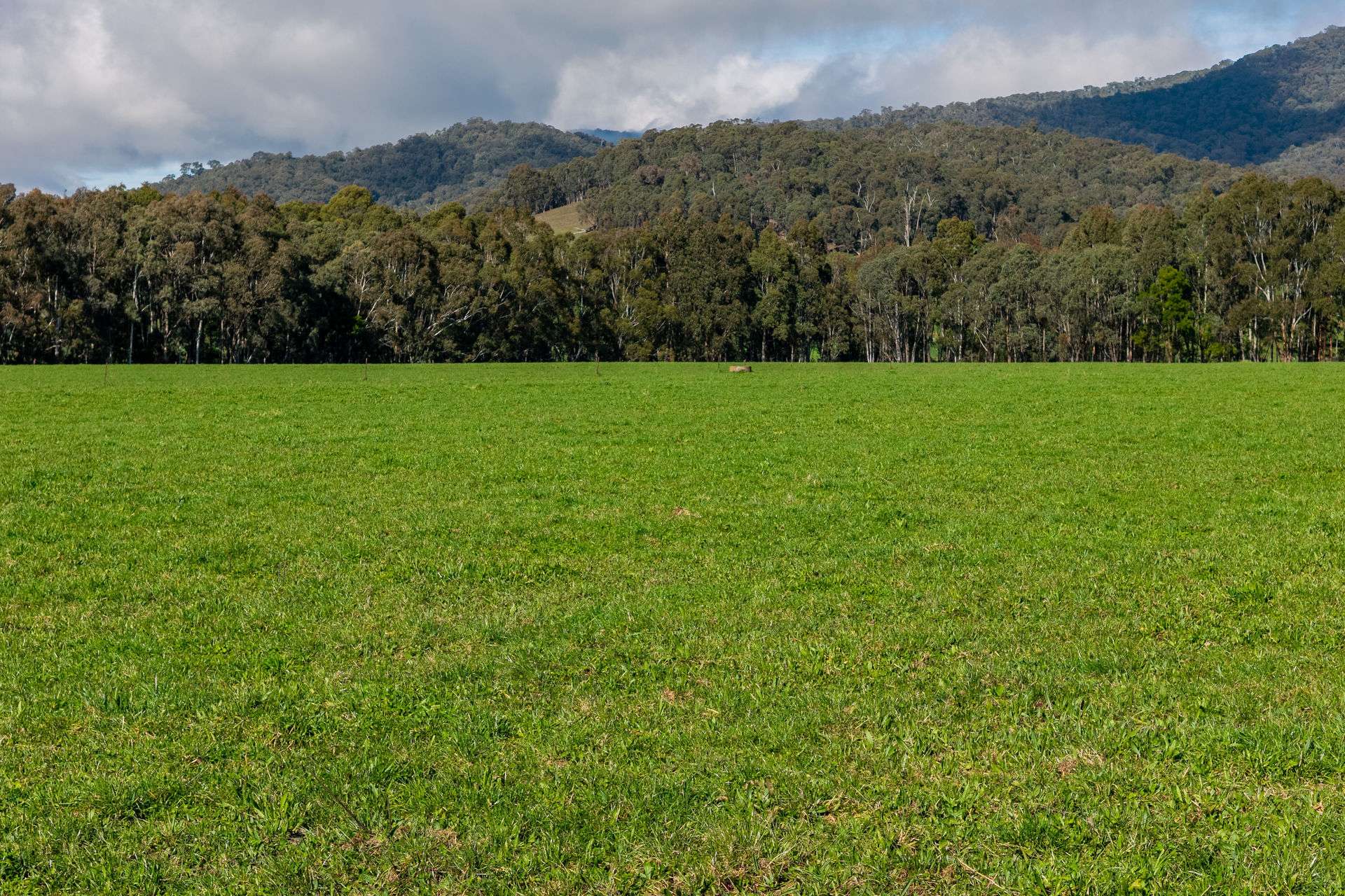 31 Greenham Road, Tallangatta Valley For Sale by Farmbuy.com - image 10