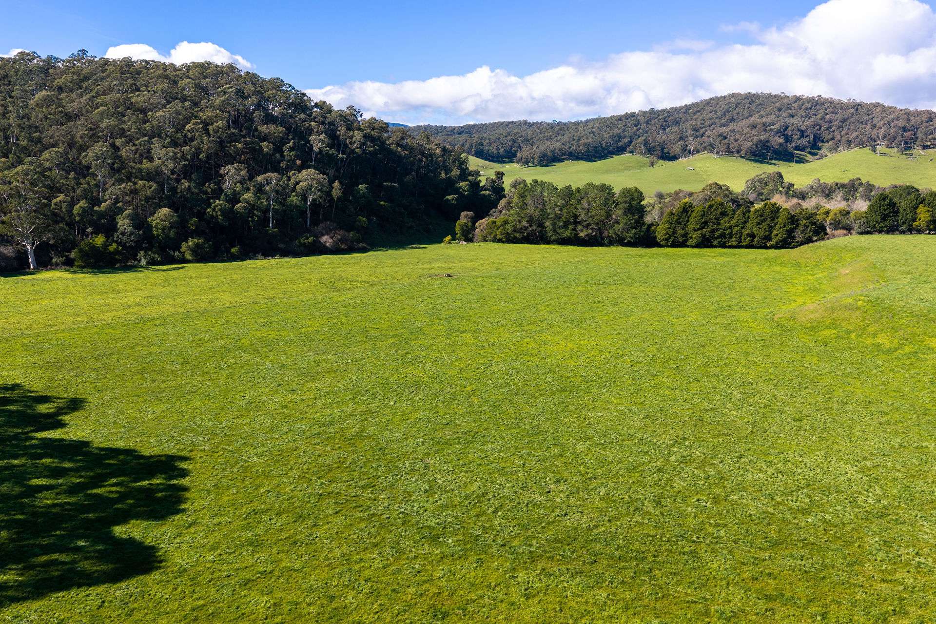 31 Greenham Road, Tallangatta Valley For Sale by Farmbuy.com - image 20