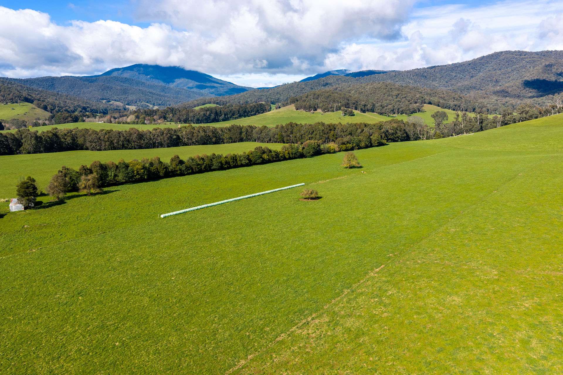 31 Greenham Road, Tallangatta Valley For Sale by Farmbuy.com - image 8