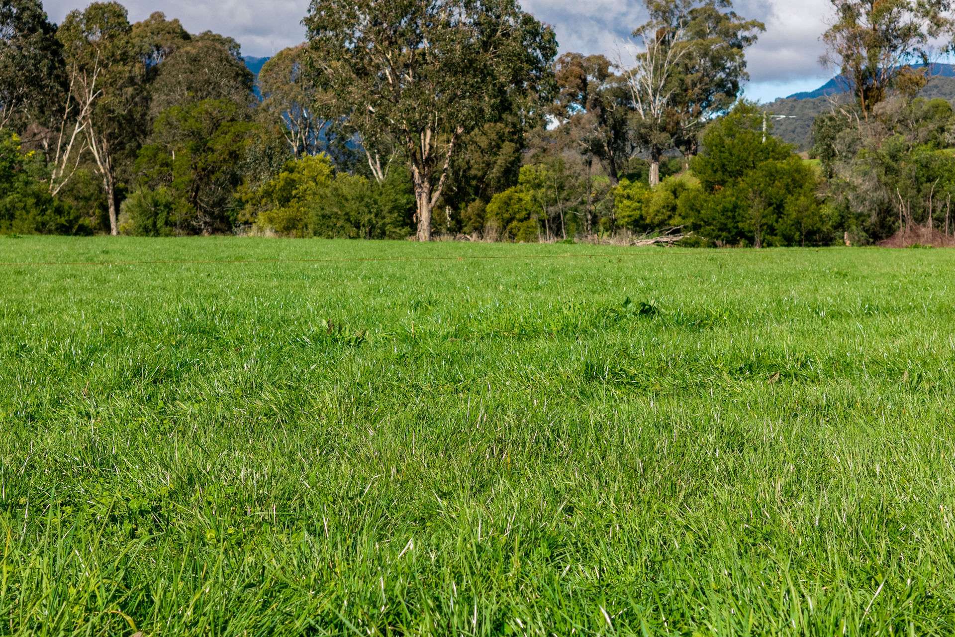 31 Greenham Road, Tallangatta Valley For Sale by Farmbuy.com - image 23