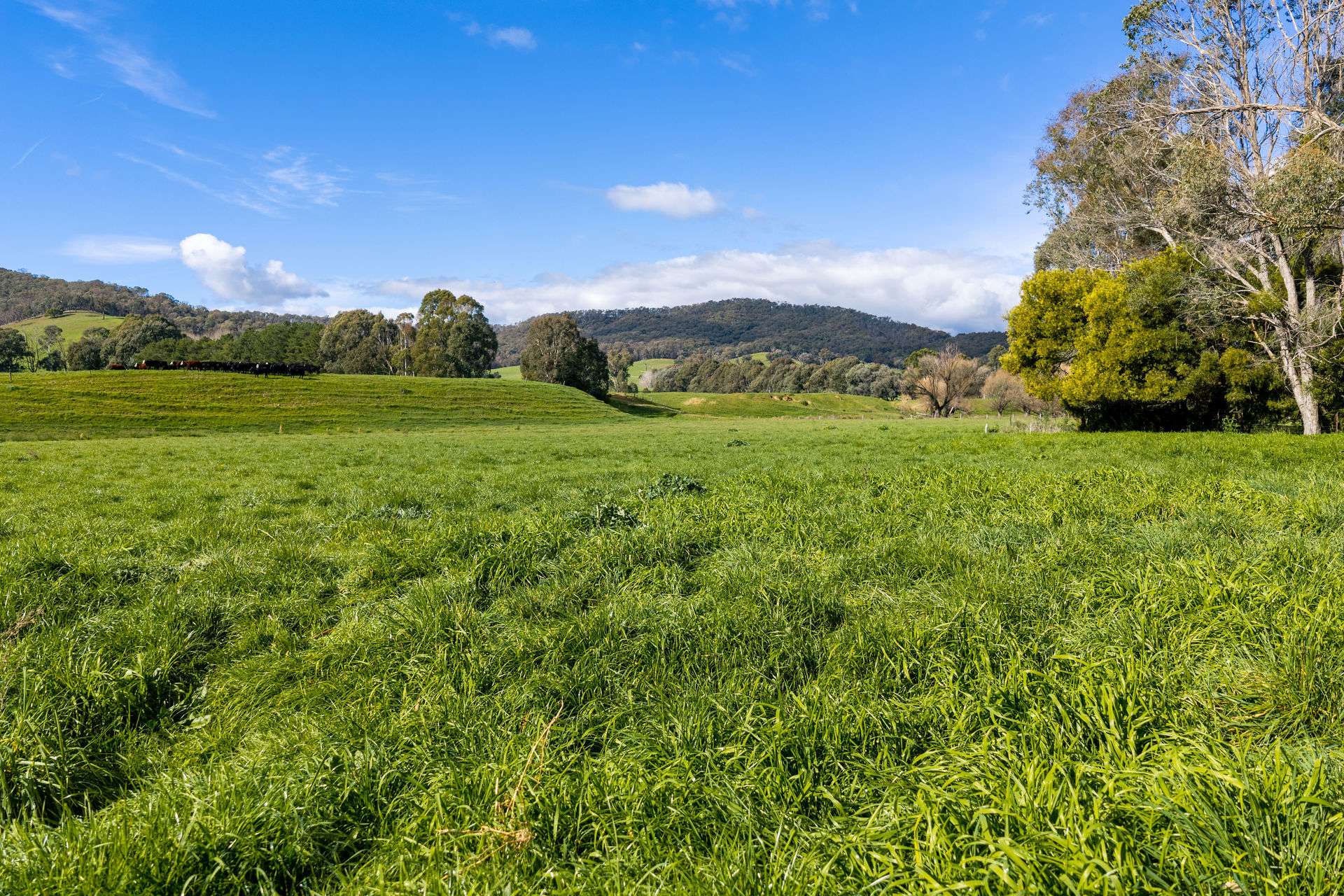 31 Greenham Road, Tallangatta Valley For Sale by Farmbuy.com - image 31