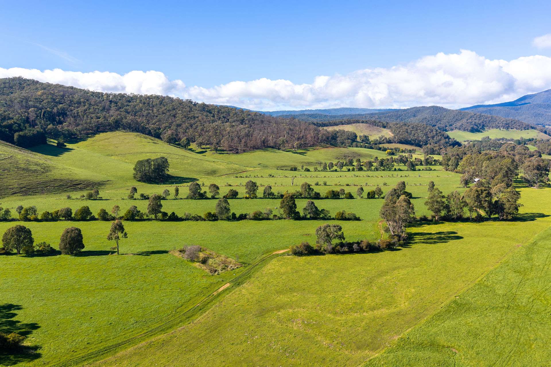 31 Greenham Road, Tallangatta Valley For Sale by Farmbuy.com - image 11