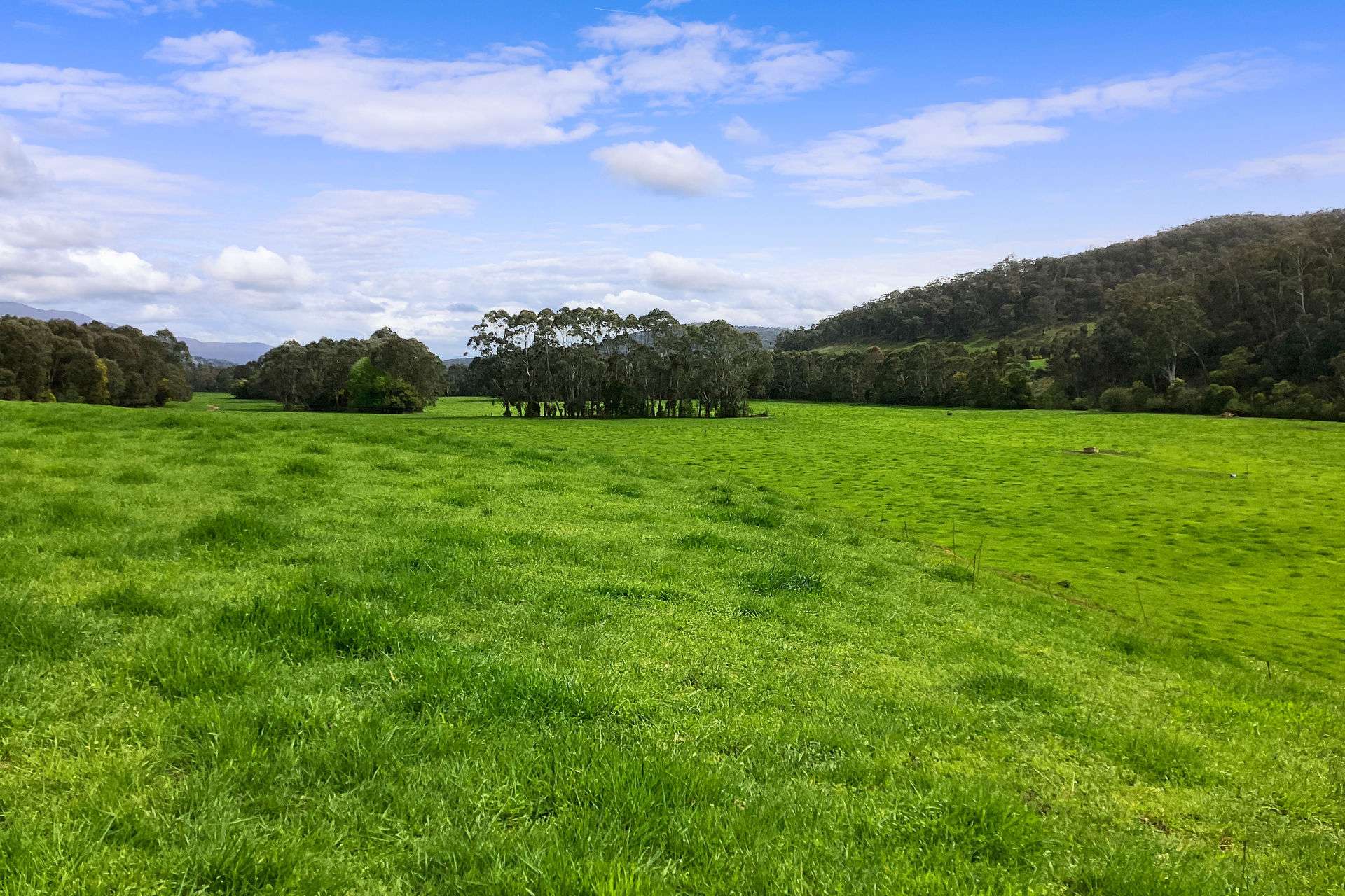 31 Greenham Road, Tallangatta Valley For Sale by Farmbuy.com - image 17