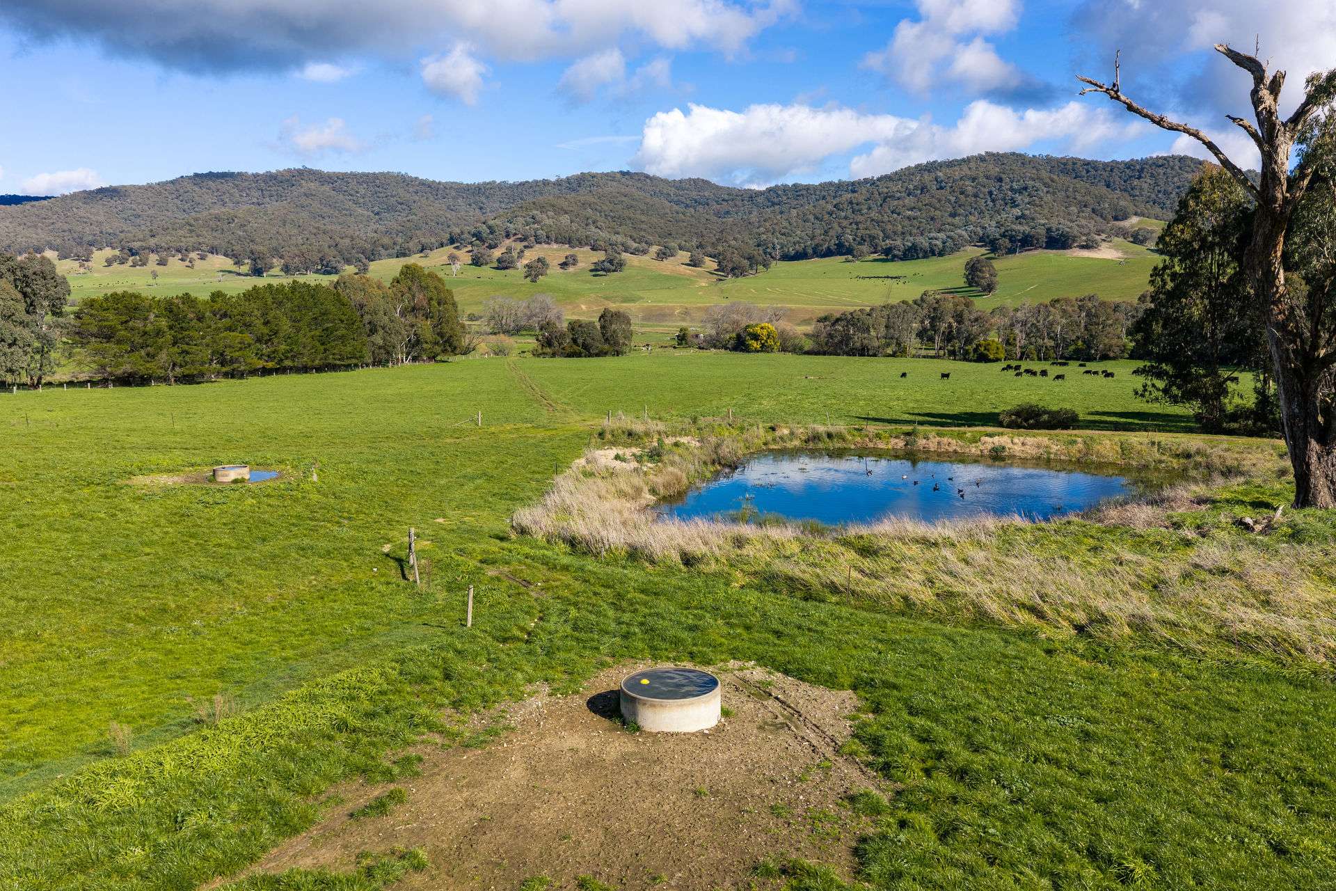 31 Greenham Road, Tallangatta Valley For Sale by Farmbuy.com - image 26