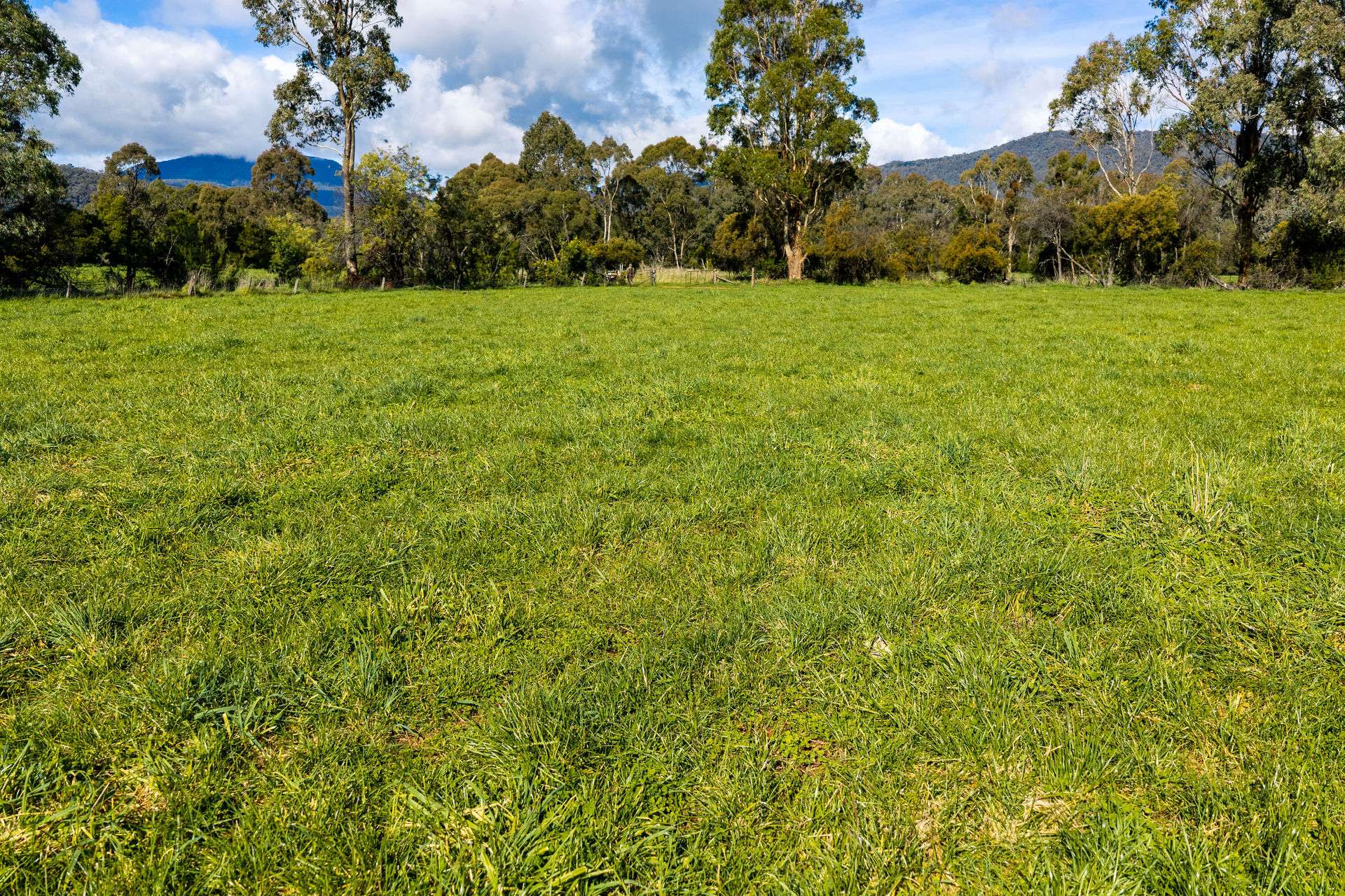 31 Greenham Road, Tallangatta Valley For Sale by Farmbuy.com - image 27
