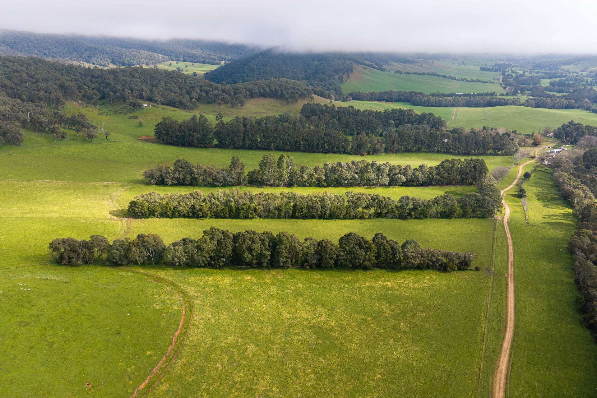 31 Greenham Road, Tallangatta Valley For Sale by Farmbuy.com - image 18