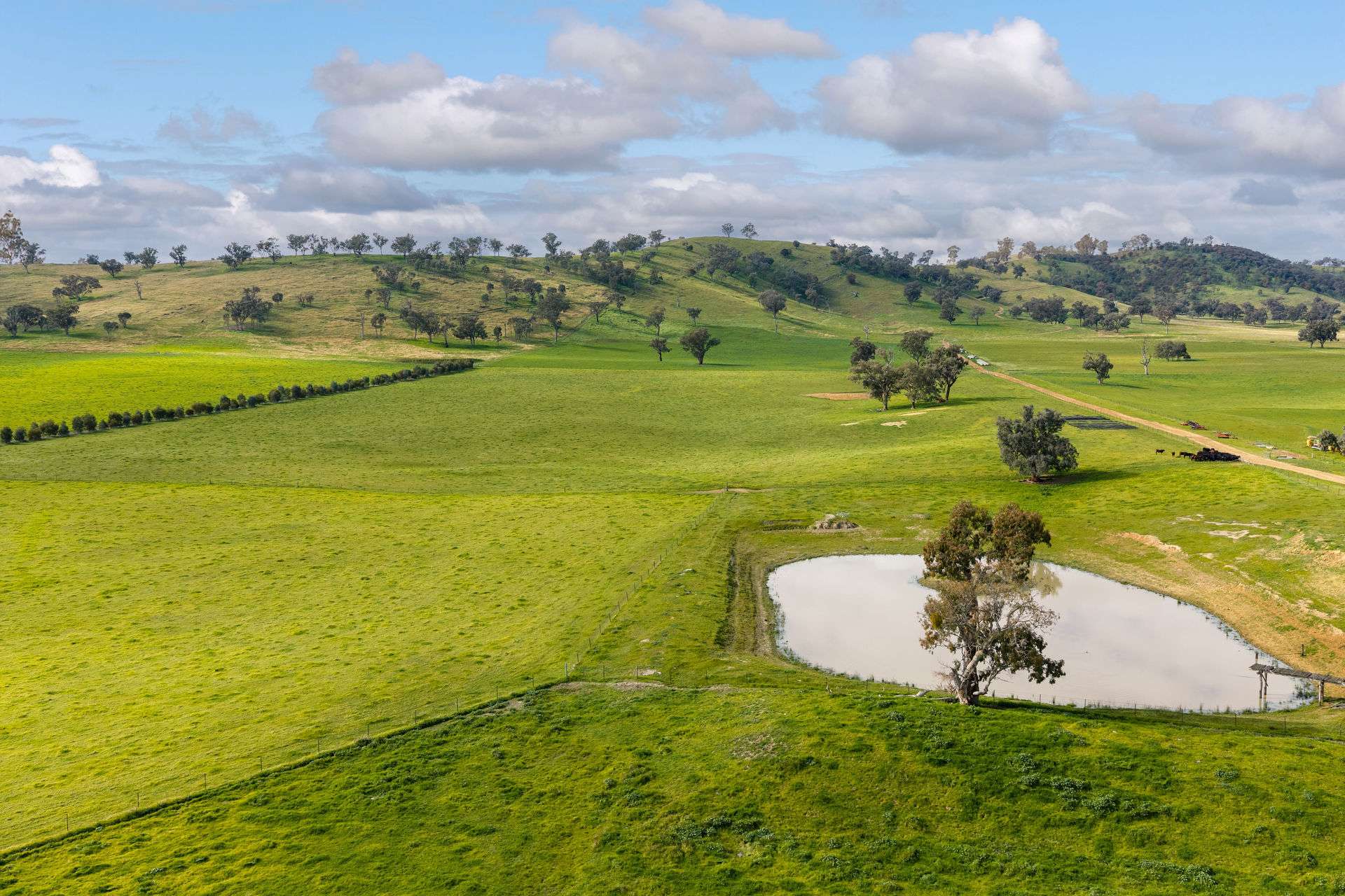 1315 Bungowannah Road, Bungowannah Auction by Farmbuy.com - image 27