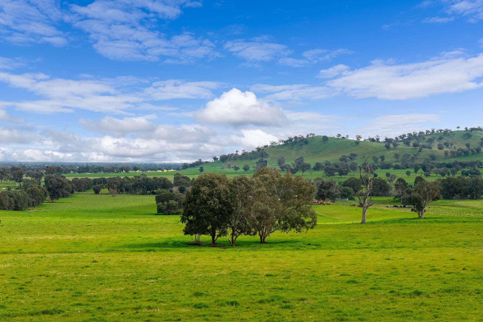 1315 Bungowannah Road, Bungowannah Auction by Farmbuy.com - image 26