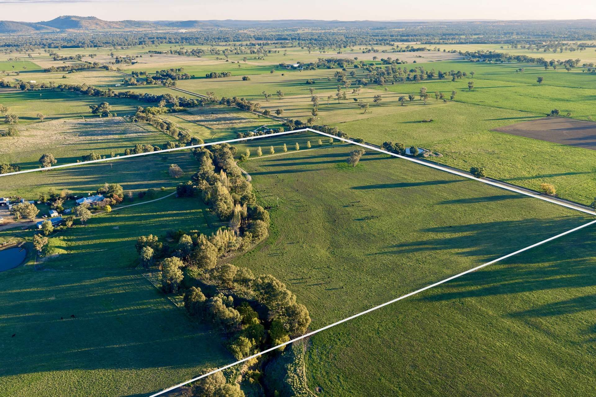 1315 Bungowannah Road, Bungowannah Auction by Farmbuy.com - image 4
