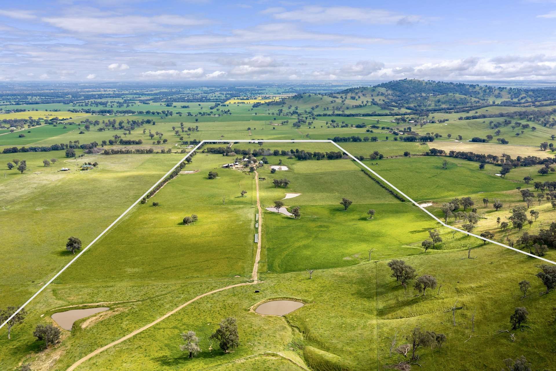 1315 Bungowannah Road, Bungowannah Auction by Farmbuy.com - image 2