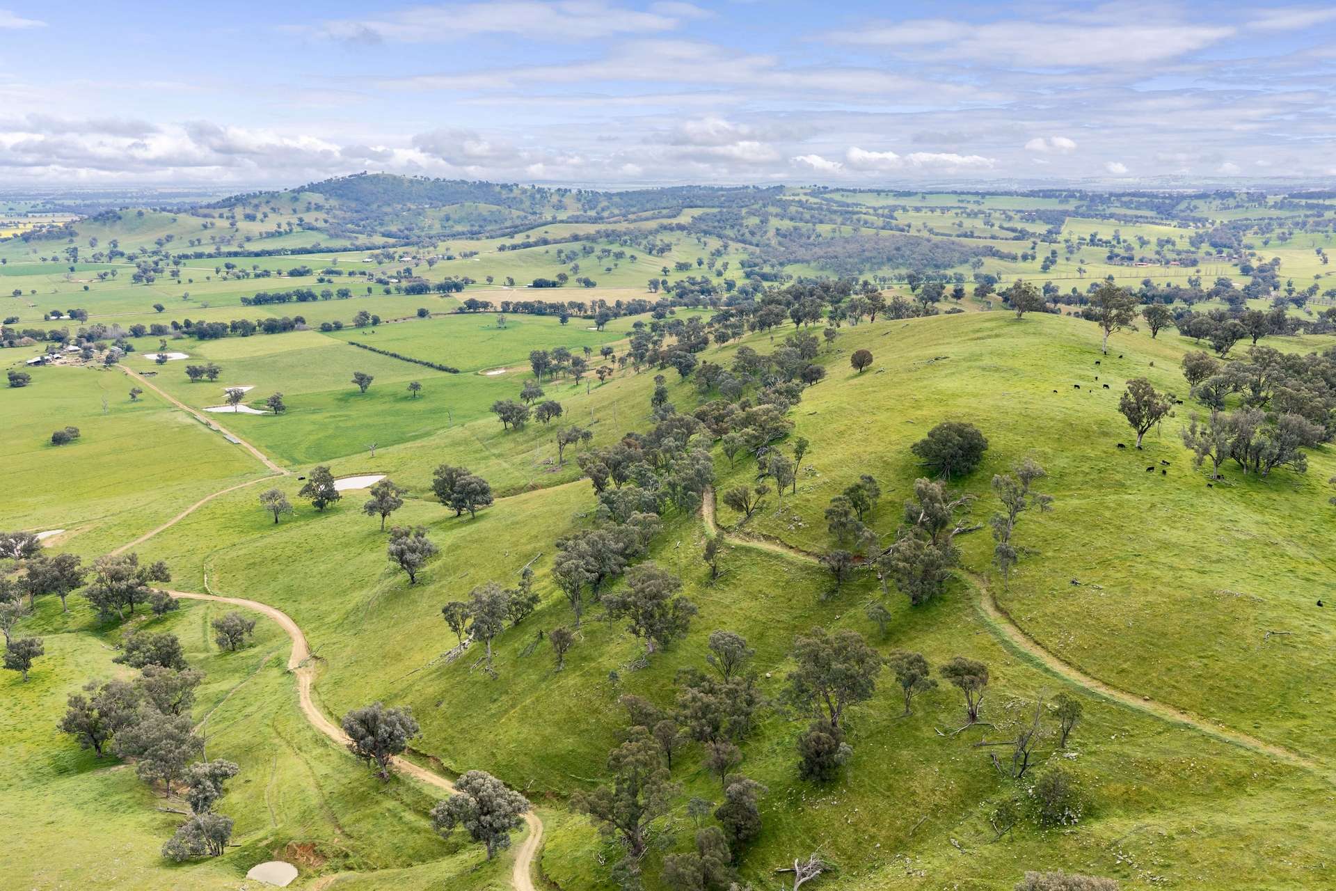 1315 Bungowannah Road, Bungowannah Auction by Farmbuy.com - image 25