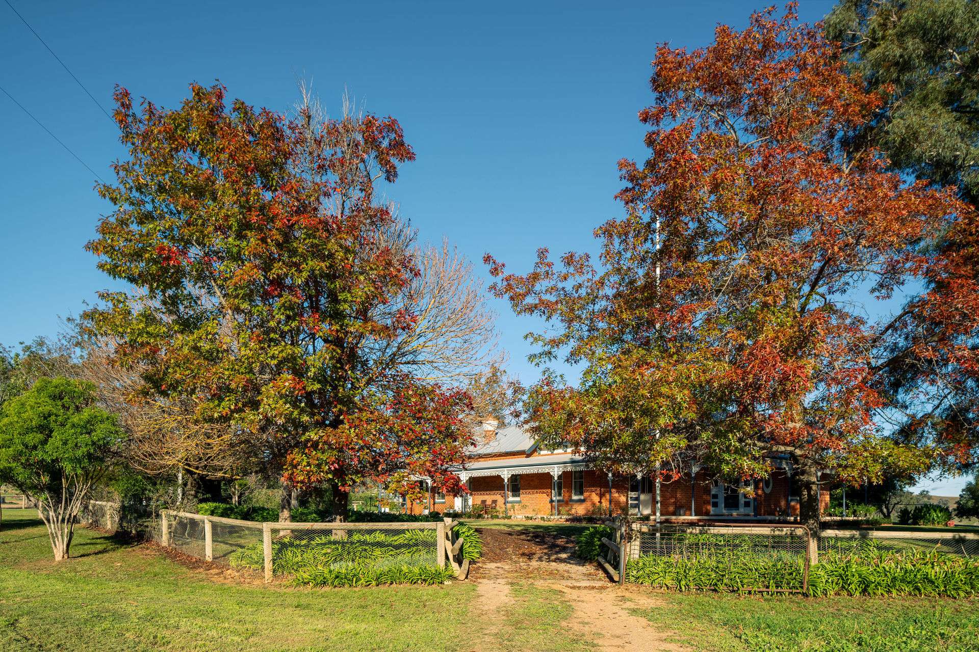1315 Bungowannah Road, Bungowannah Auction by Farmbuy.com - image 5