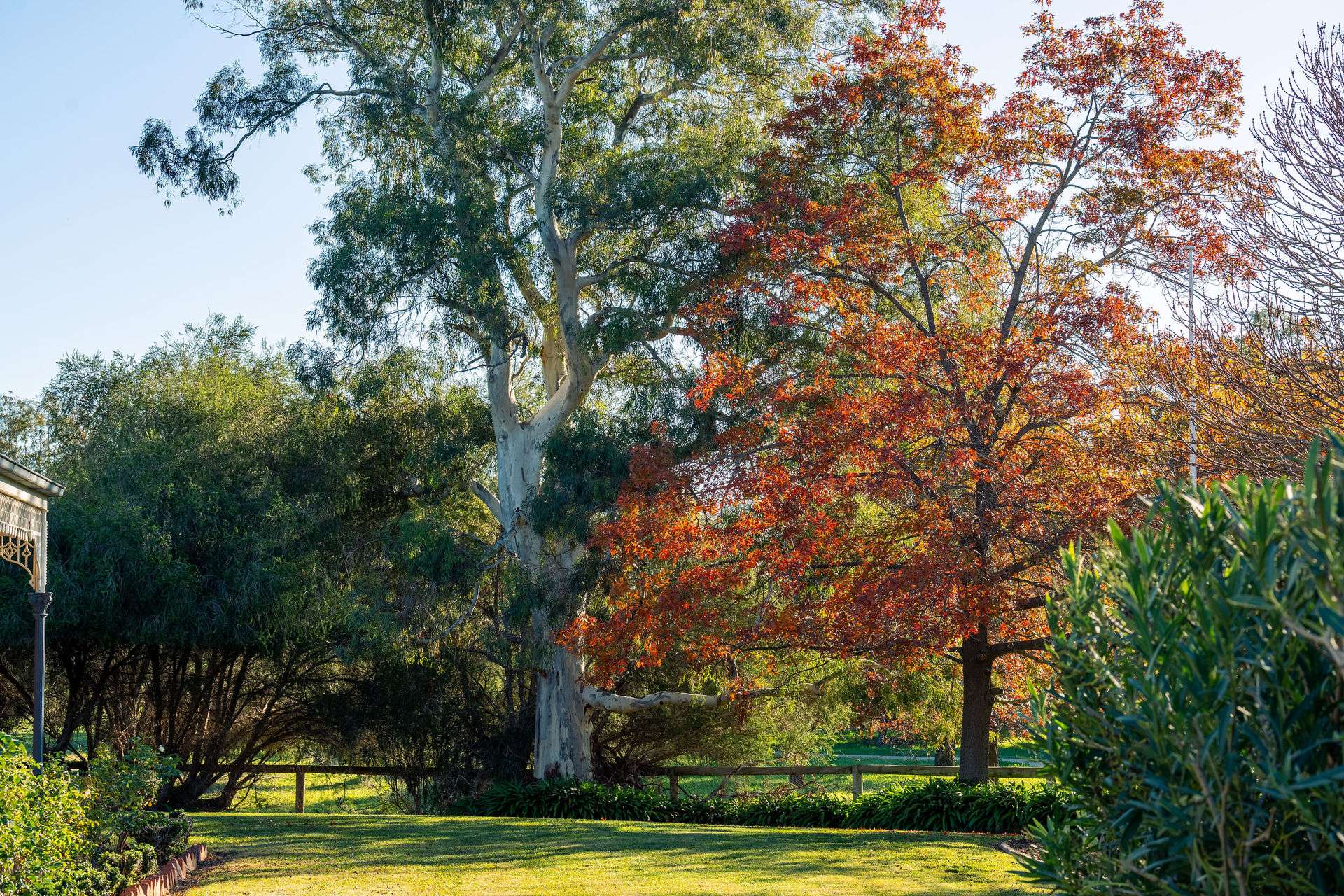 1315 Bungowannah Road, Bungowannah Auction by Farmbuy.com - image 17