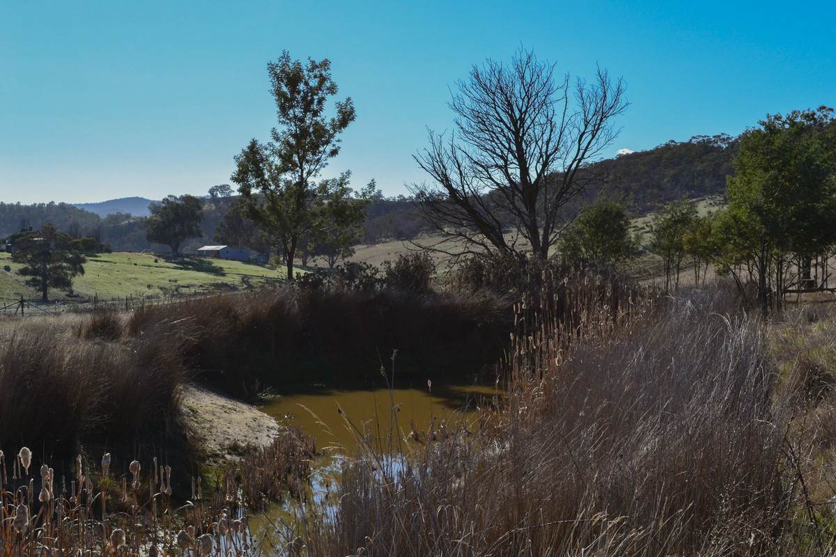 137 Springhill Bottom Road, Colebrook For Sale by Farmbuy.com - image 10