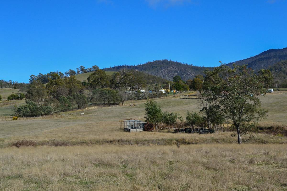 137 Springhill Bottom Road, Colebrook For Sale by Farmbuy.com - image 5