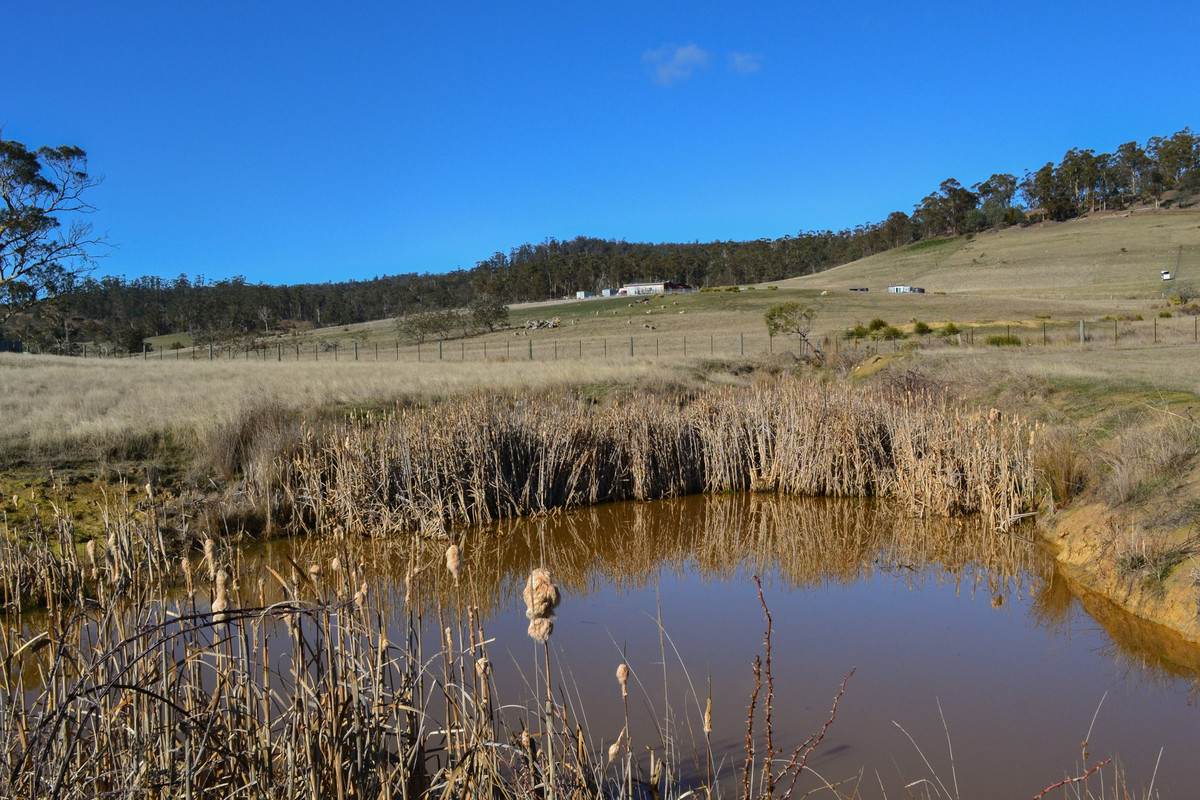 137 Springhill Bottom Road, Colebrook For Sale by Farmbuy.com - image 9