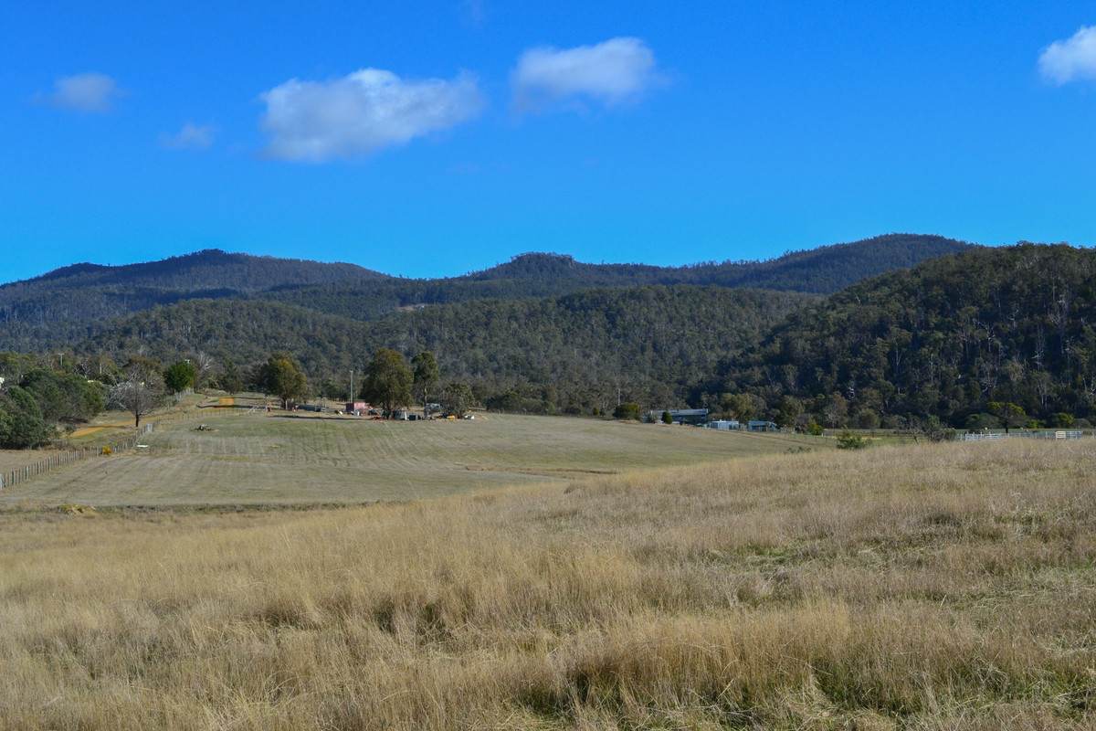 137 Springhill Bottom Road, Colebrook For Sale by Farmbuy.com - image 6